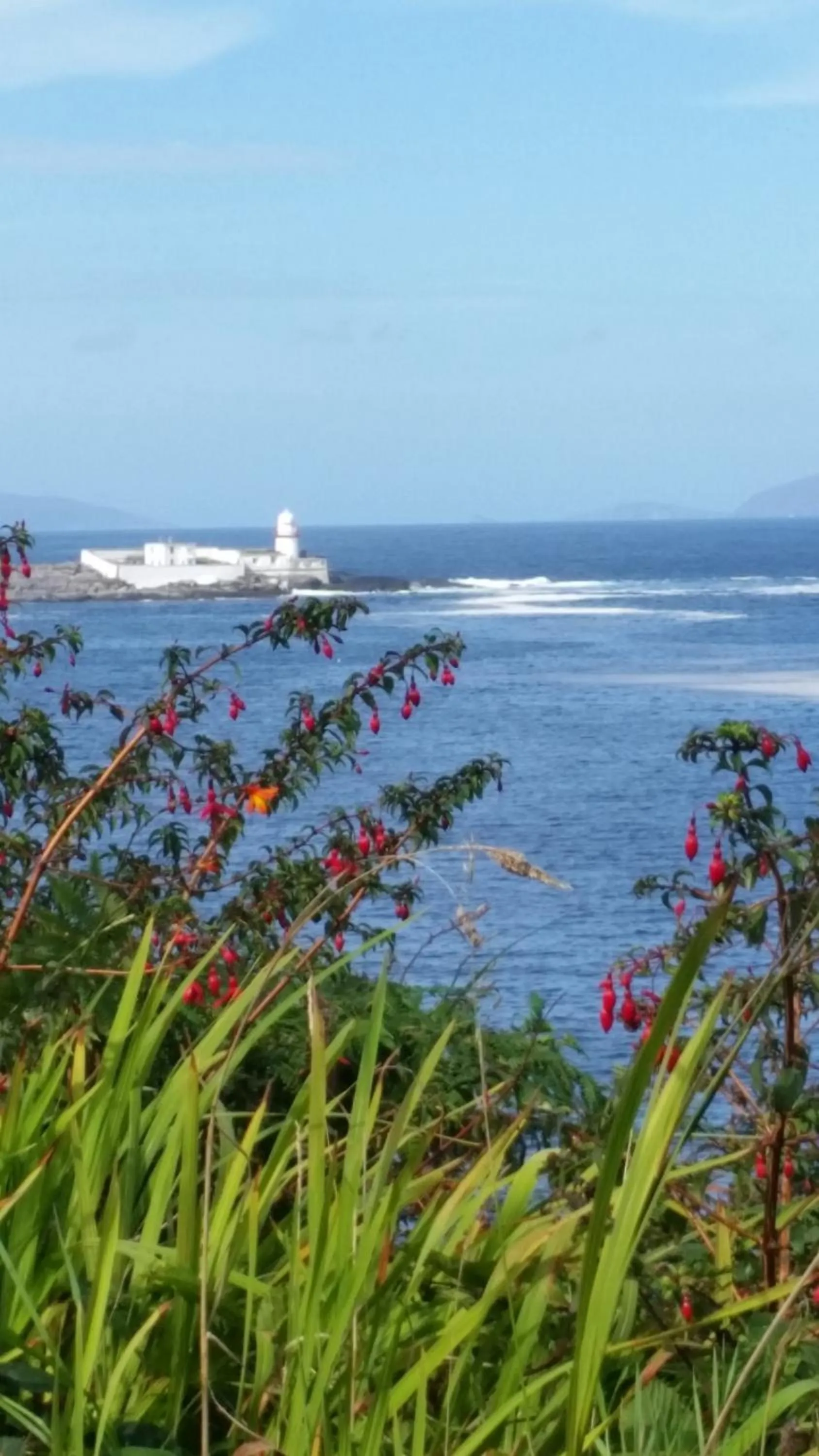 Natural landscape in Horizon View Lodge Bed and Breakfast Glanleam Road Knightstown Valentia Island County Kerry V23 W447 Ireland