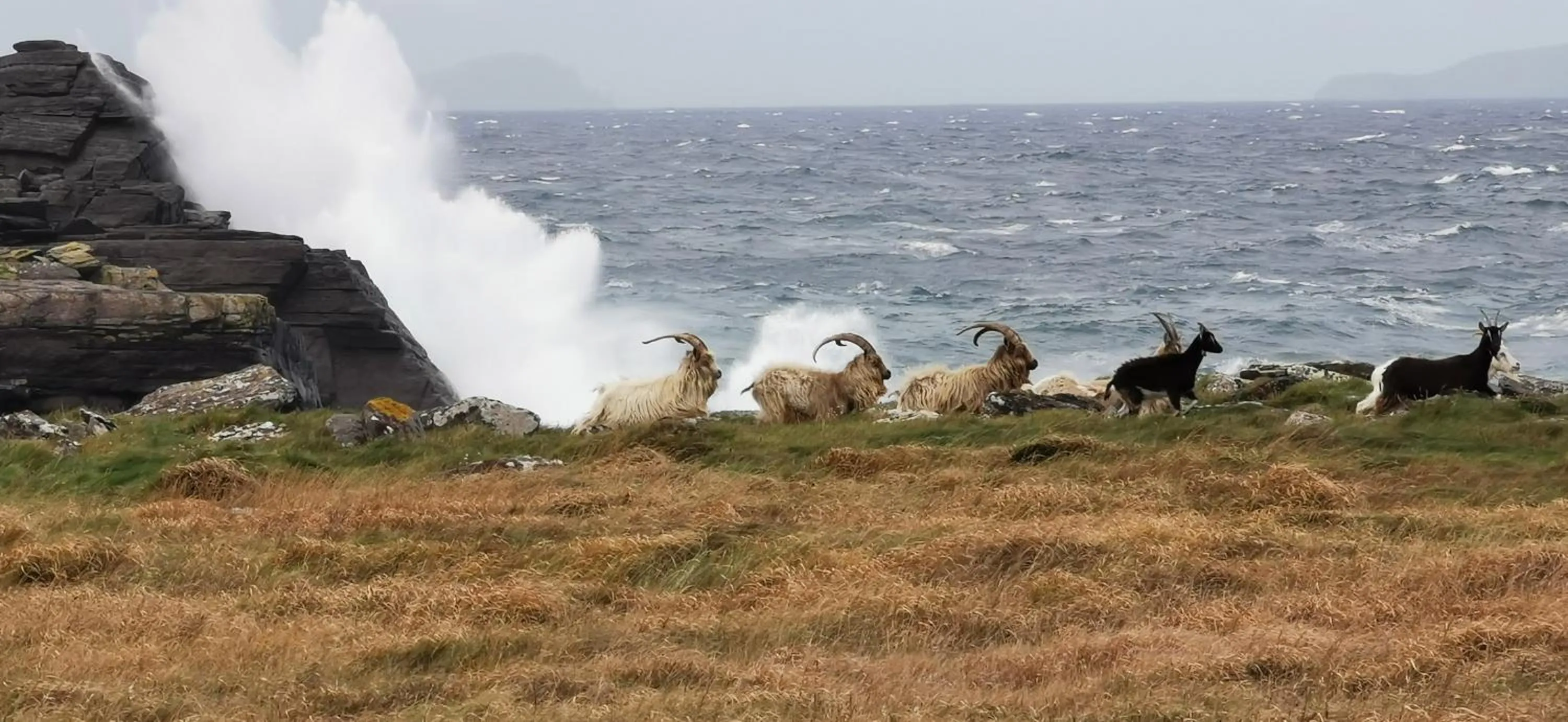 Horizon View Lodge Bed and Breakfast Glanleam Road Knightstown Valentia Island County Kerry V23 W447 Ireland
