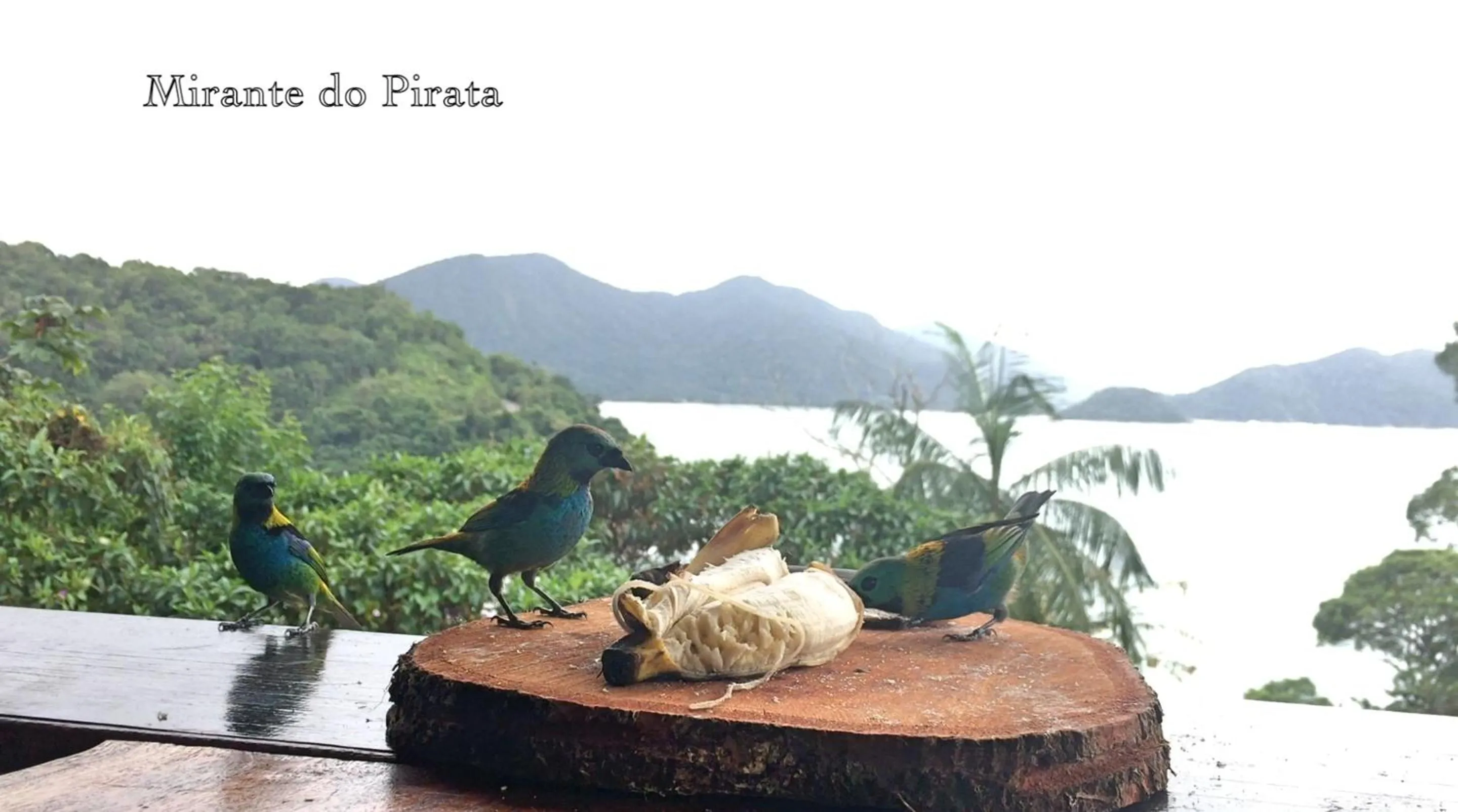 Mirante do Pirata