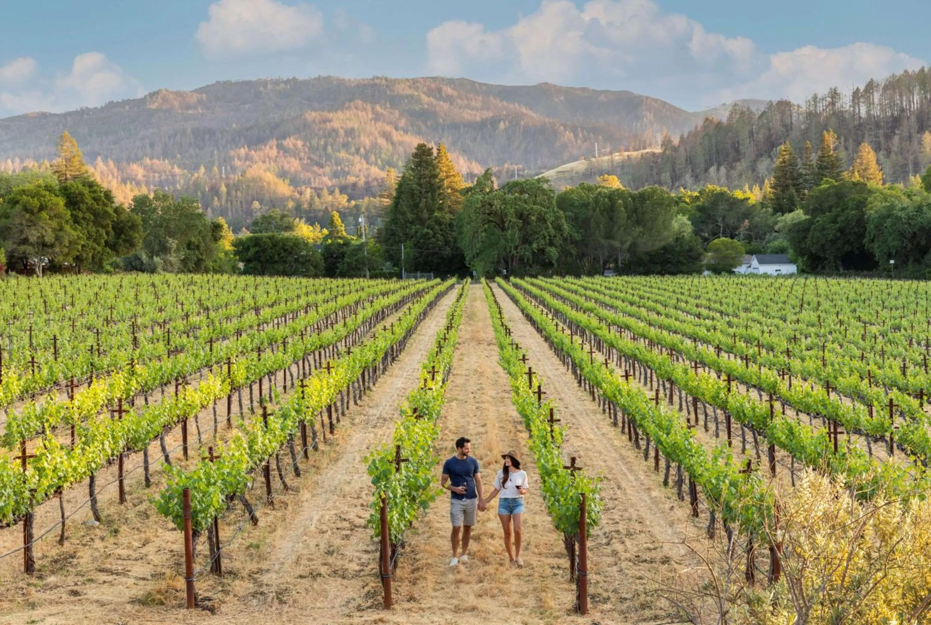 Alila Napa Valley, a Hyatt Resort