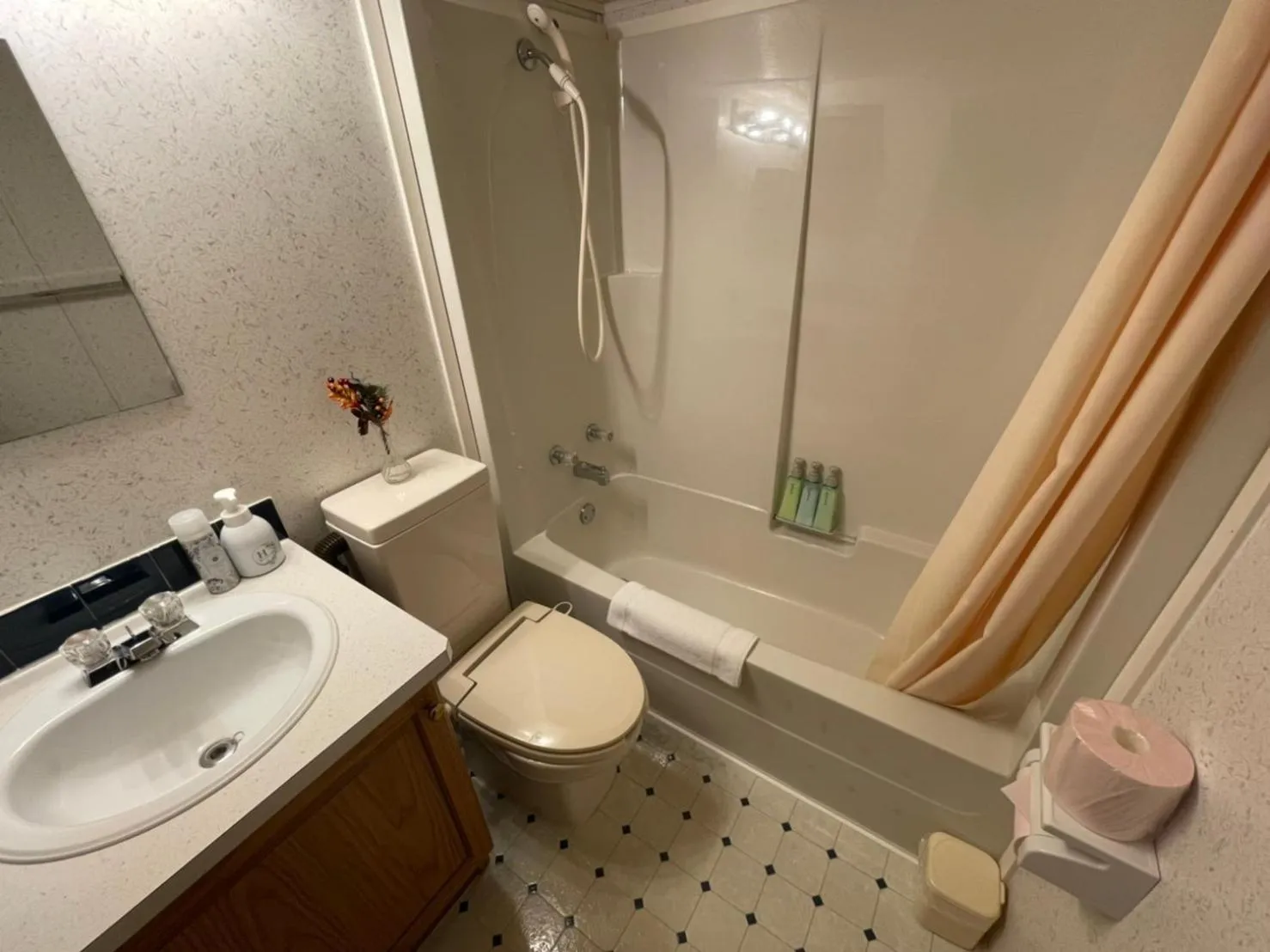 Toilet in Hakuba Canadian Lodge