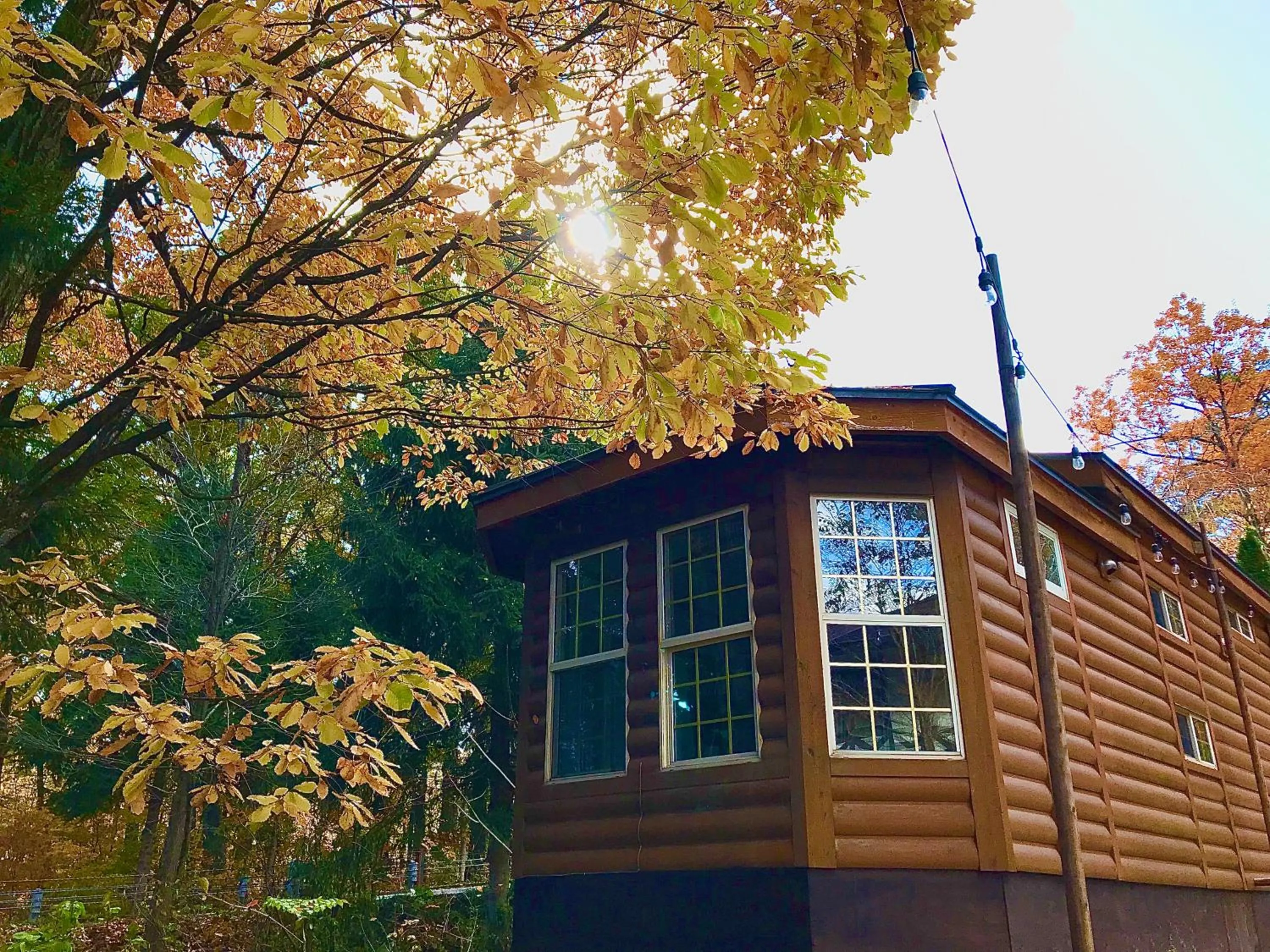 Autumn in Hakuba Canadian Lodge