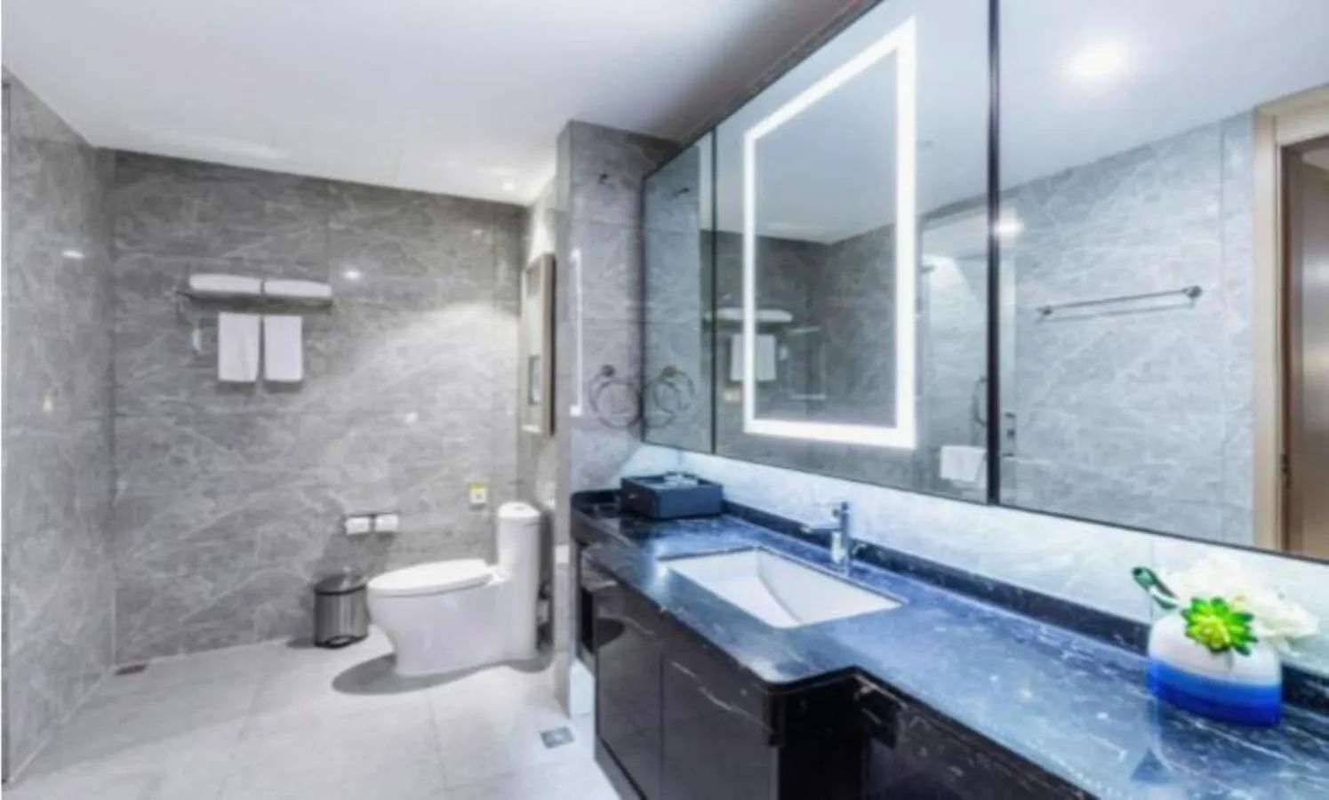 Toilet in Somerset Yangtze River Chongqing