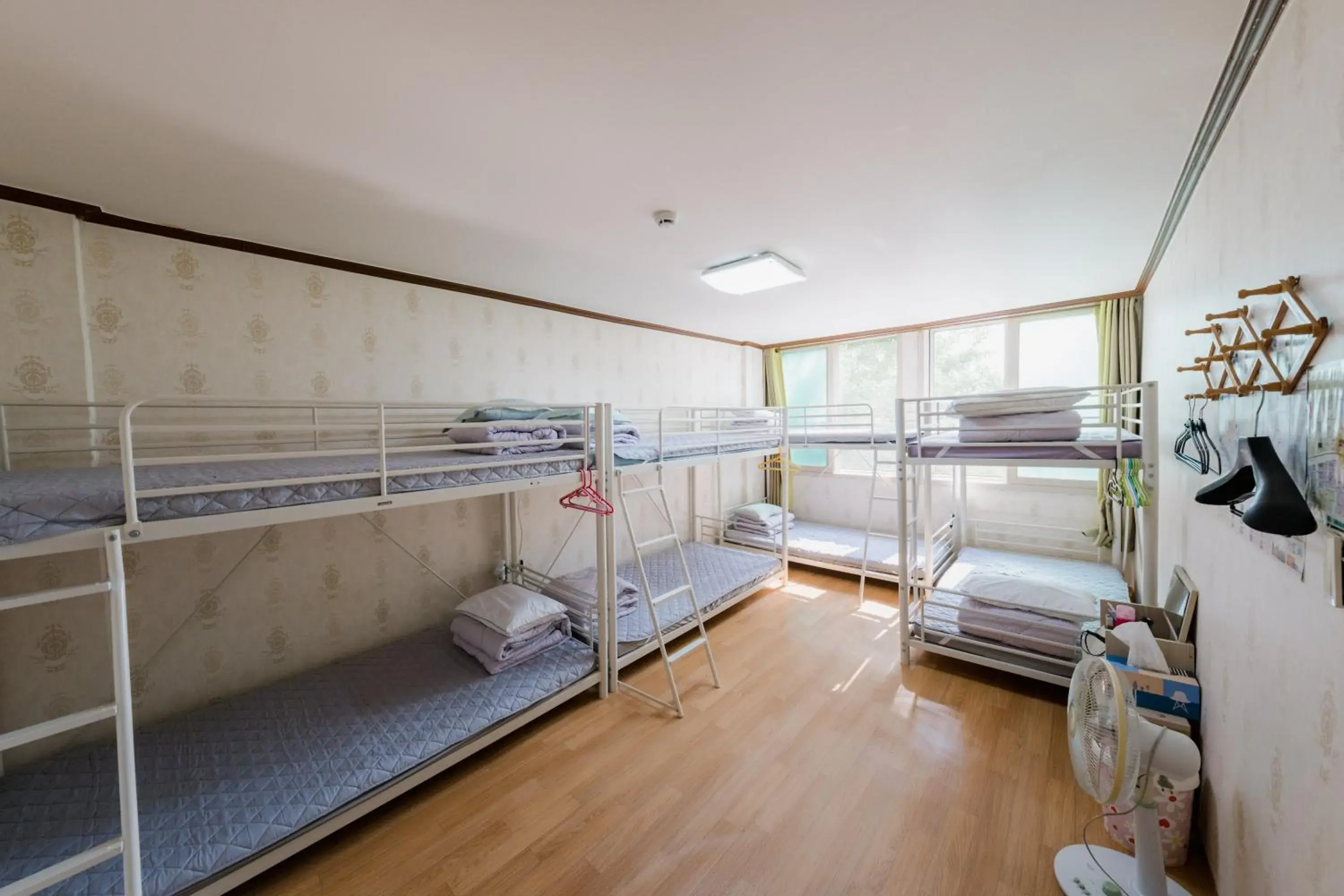 Bed in 8-Bed Dormitory Room in Panda Guesthouse Bed in 8-Bed Dormitory Room in Panda Guesthouse