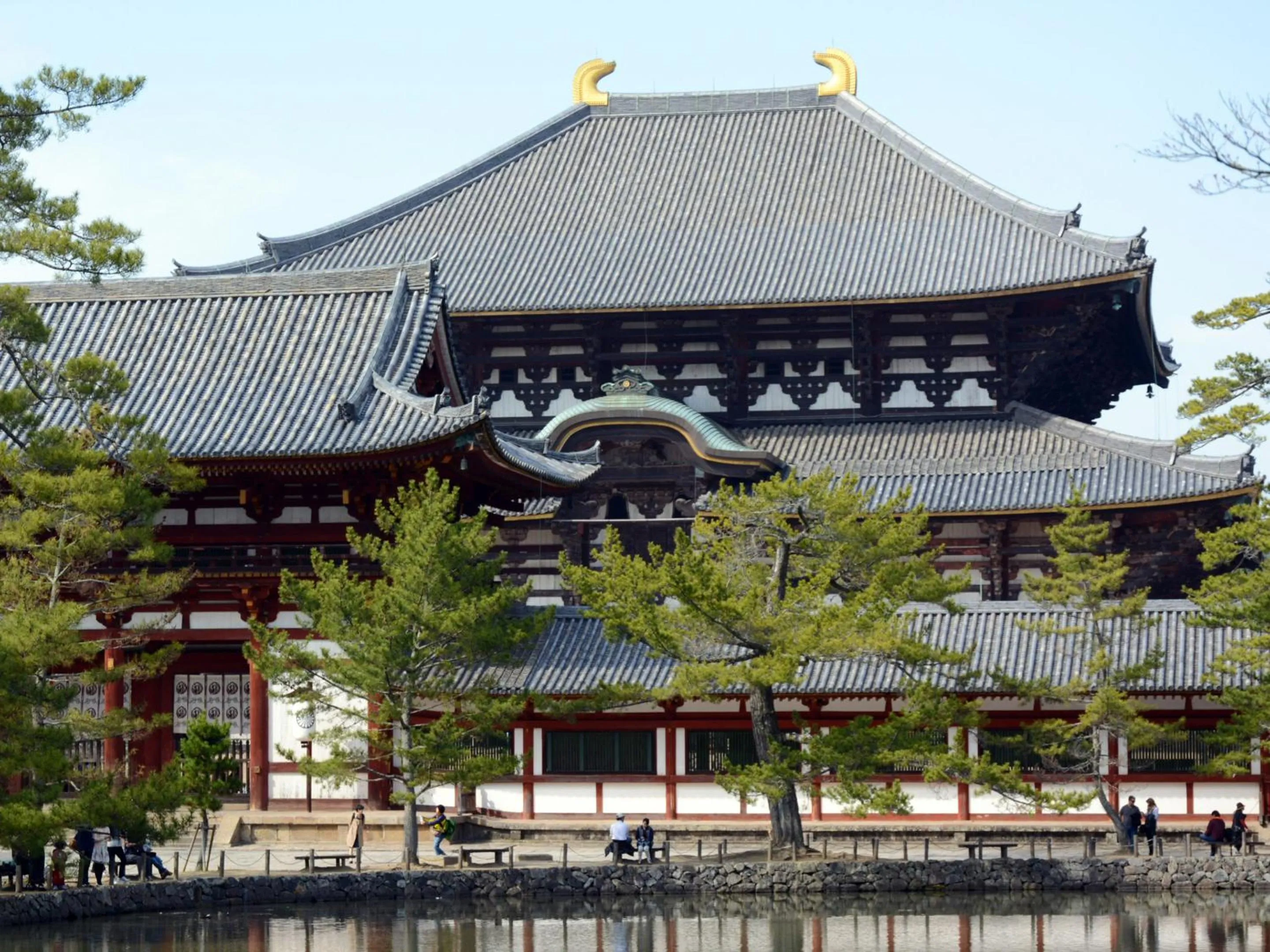 Nearby landmark in Hotel Cotton 100%