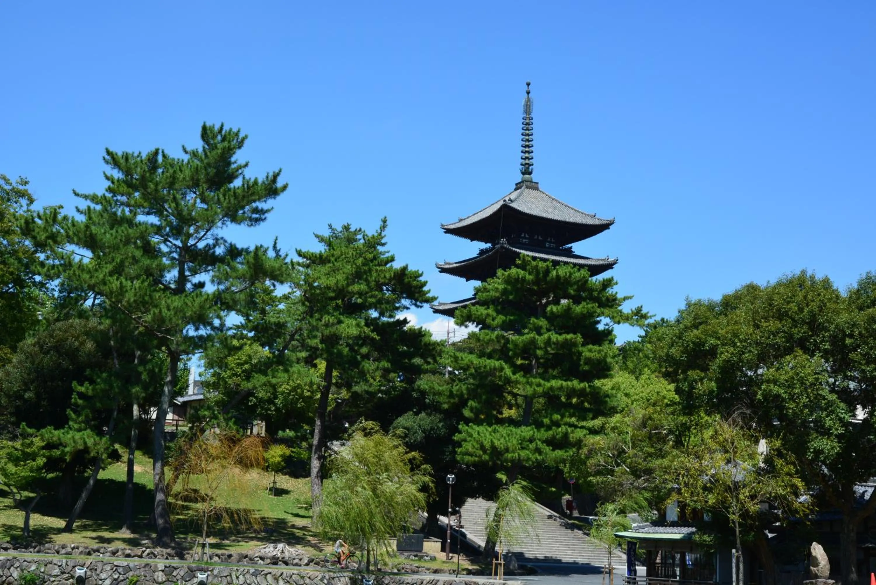 Neighbourhood in Hotel Cotton 100%