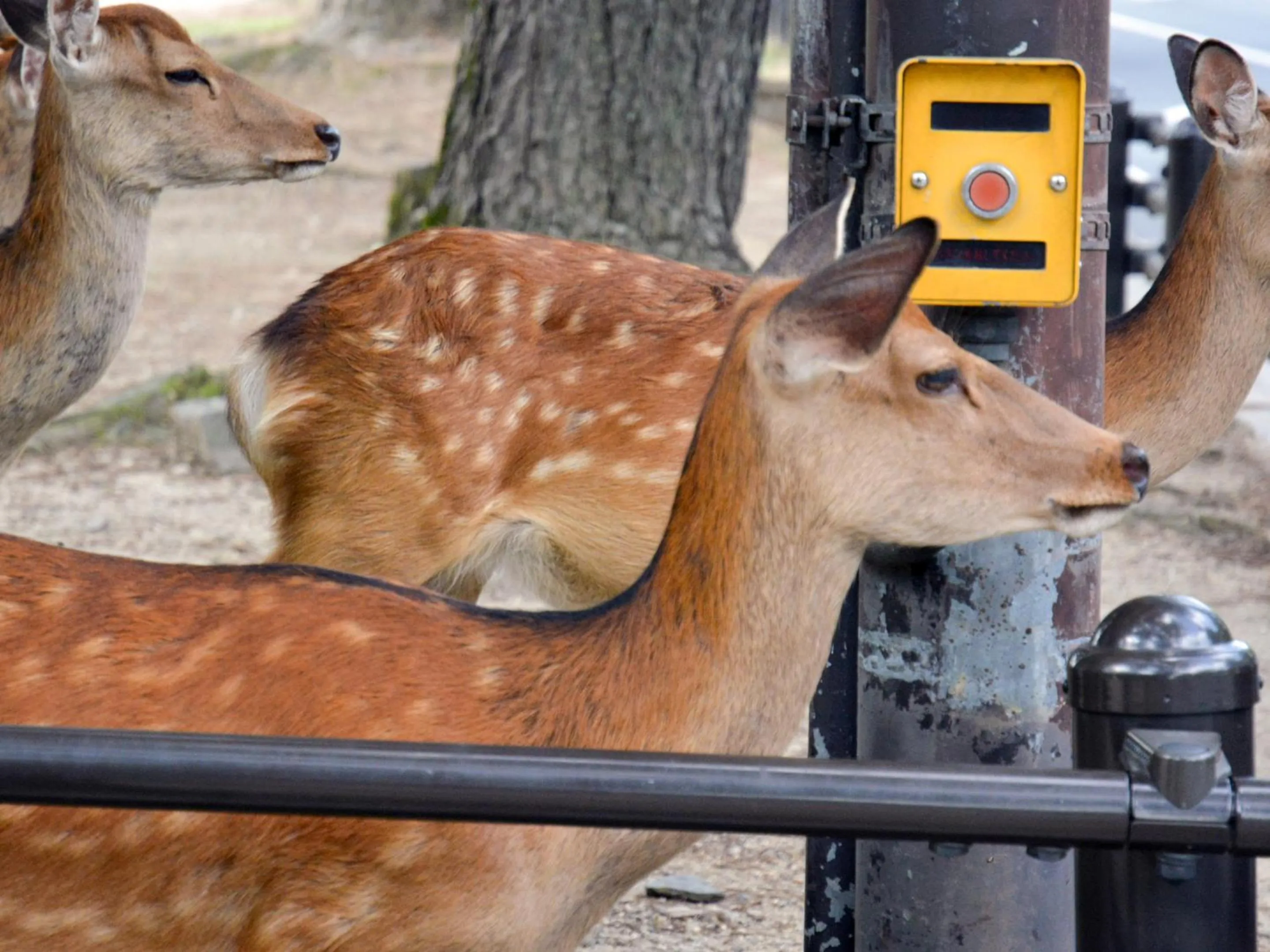 Nearby landmark in Hotel Cotton 100%