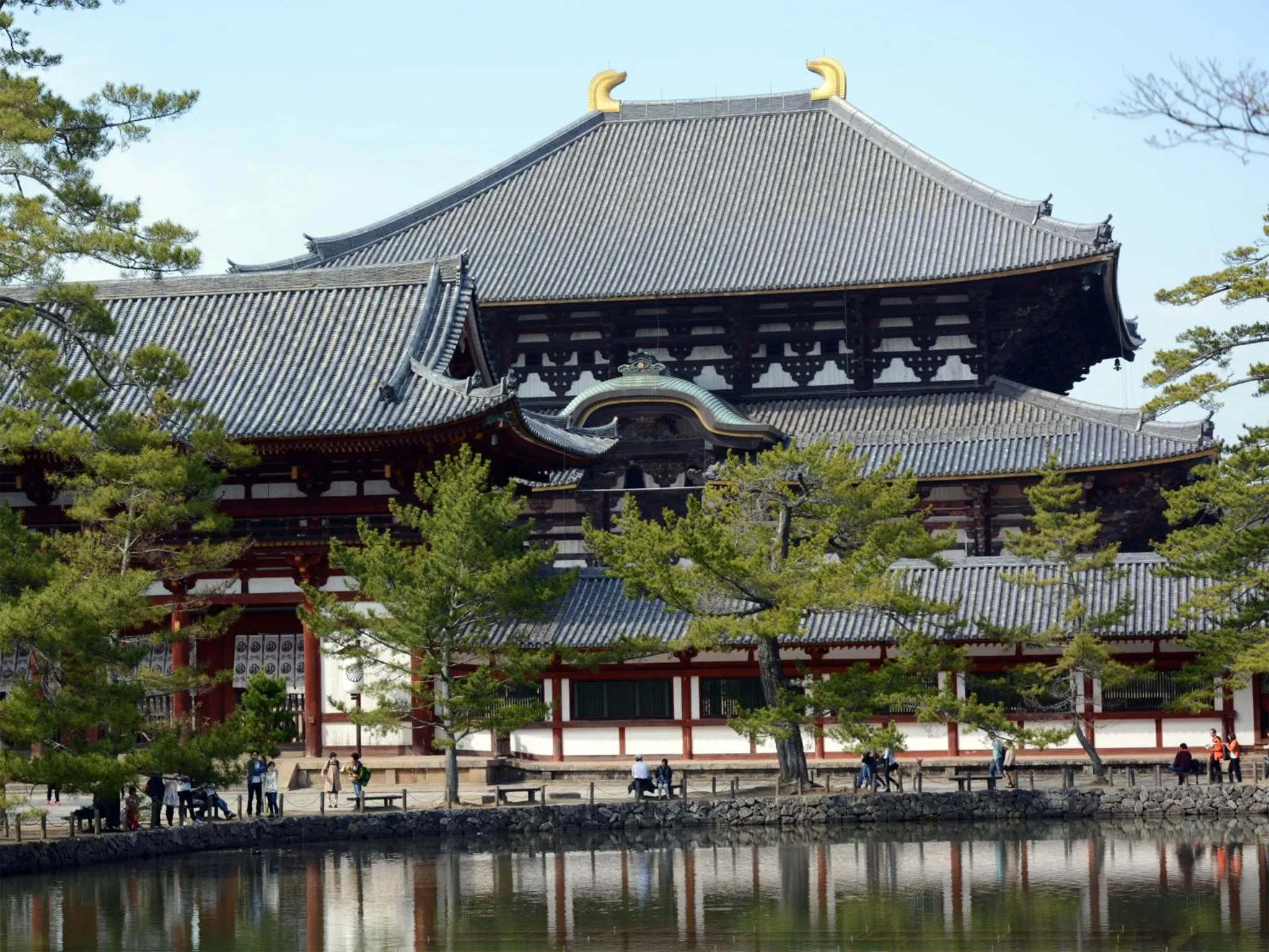 Nearby landmark in Hotel Cotton 100%