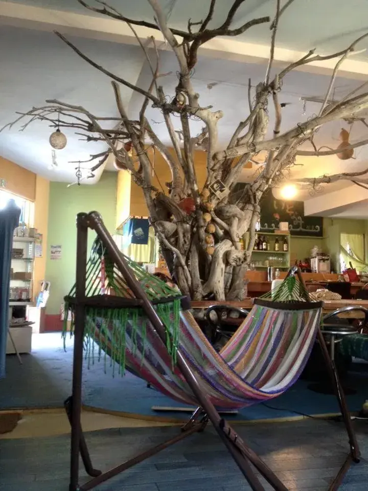 Restaurant/places to eat in Guest House & Cafe Ohana Restaurant/places to eat in Guest House & Cafe Ohana