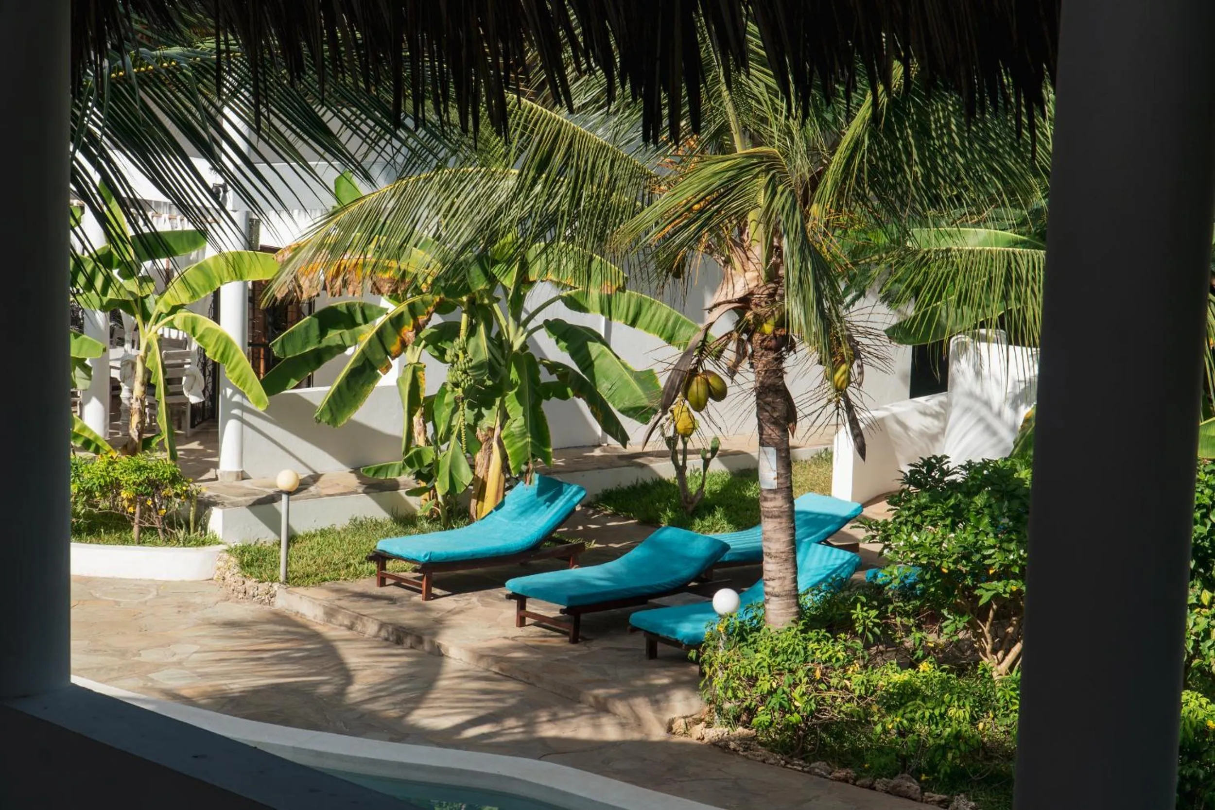 Day in Rafiki Village