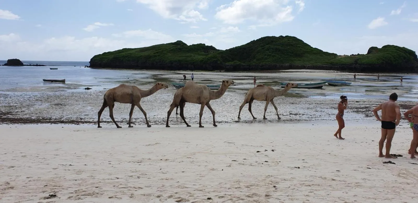 Beach in Rafiki Village