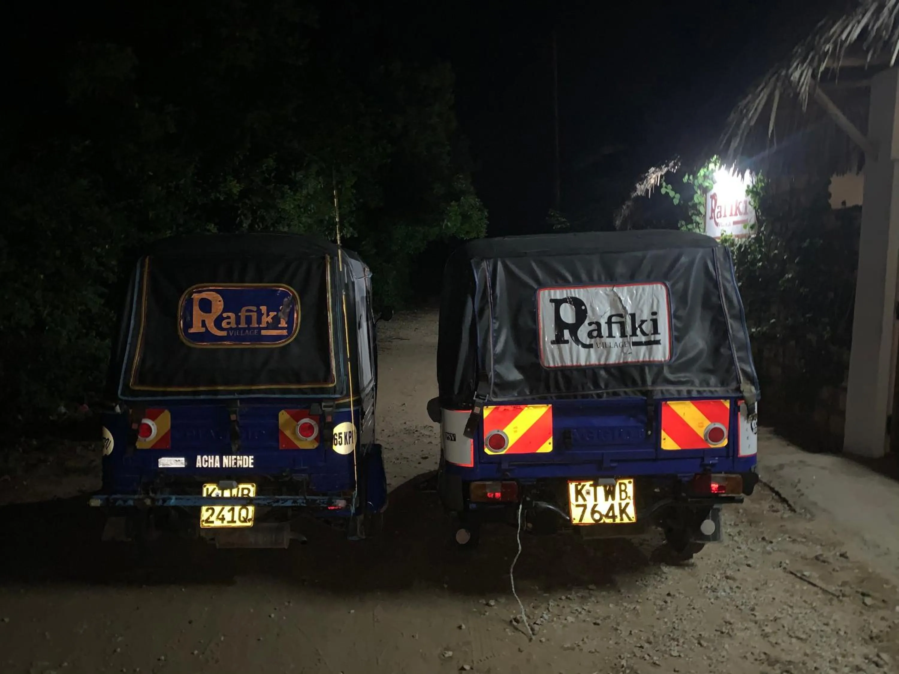 Night in Rafiki Village