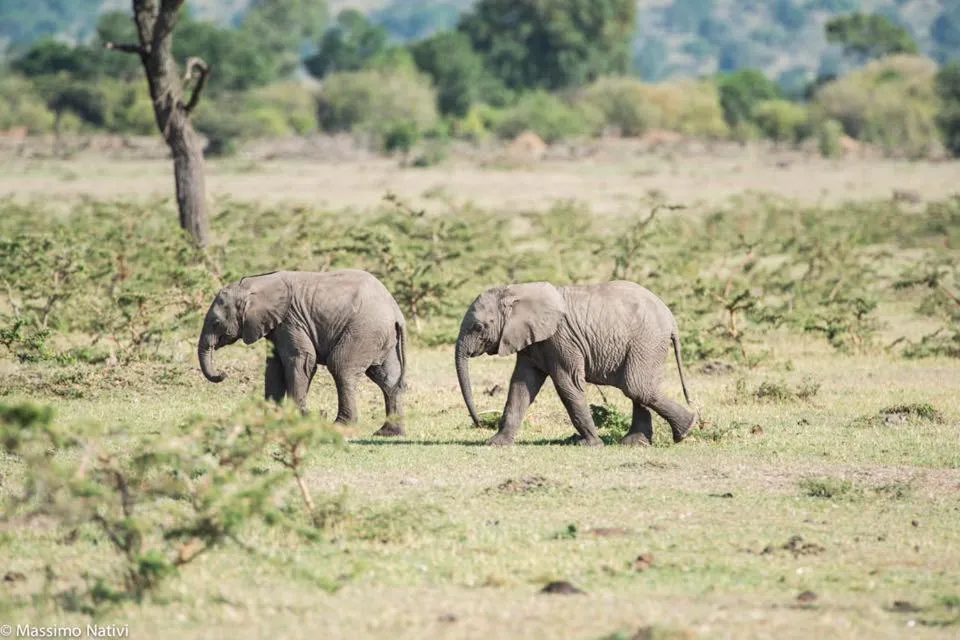 Natural landscape in Rafiki Village