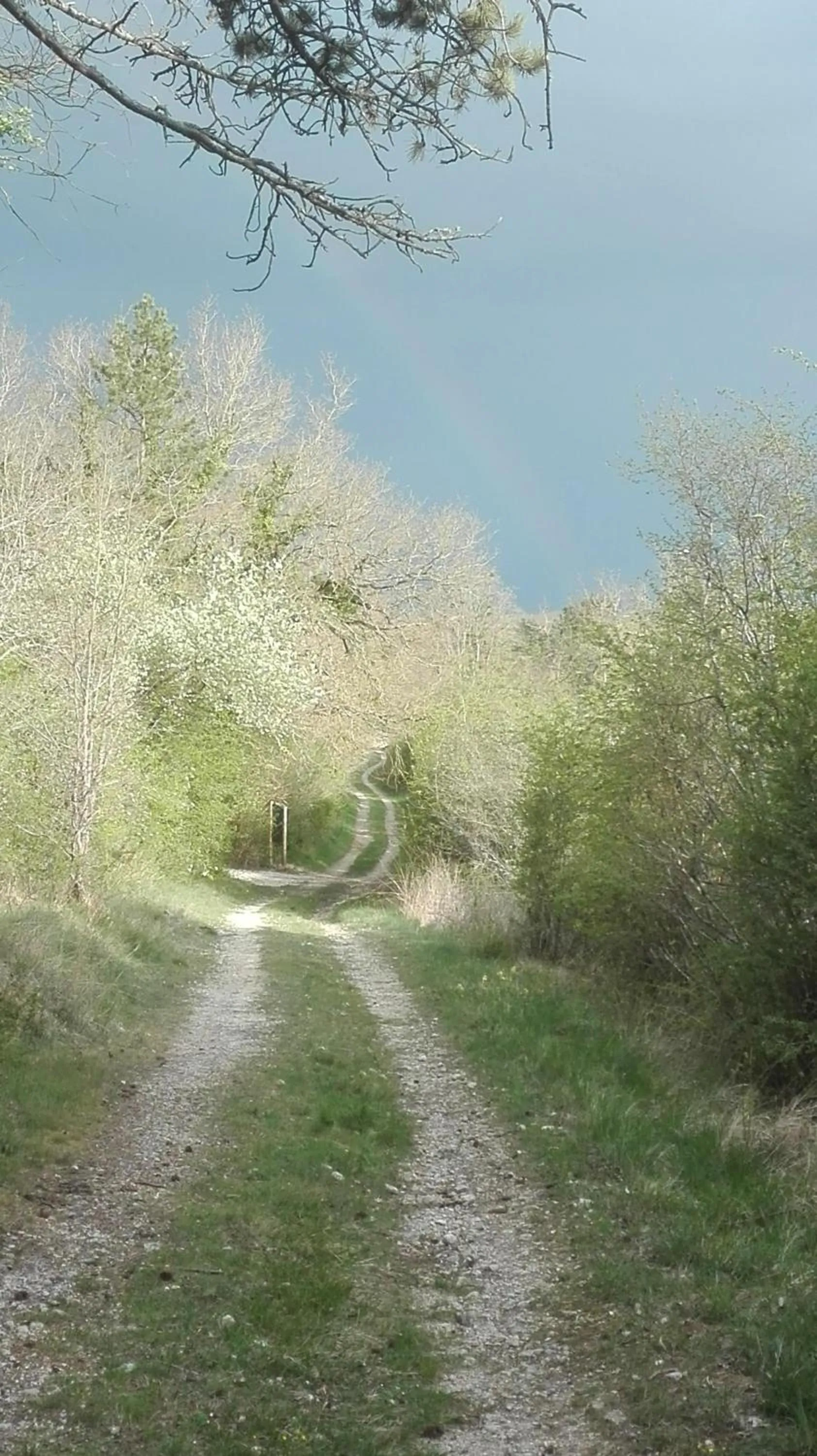 Property building in Ferme de Bellevue