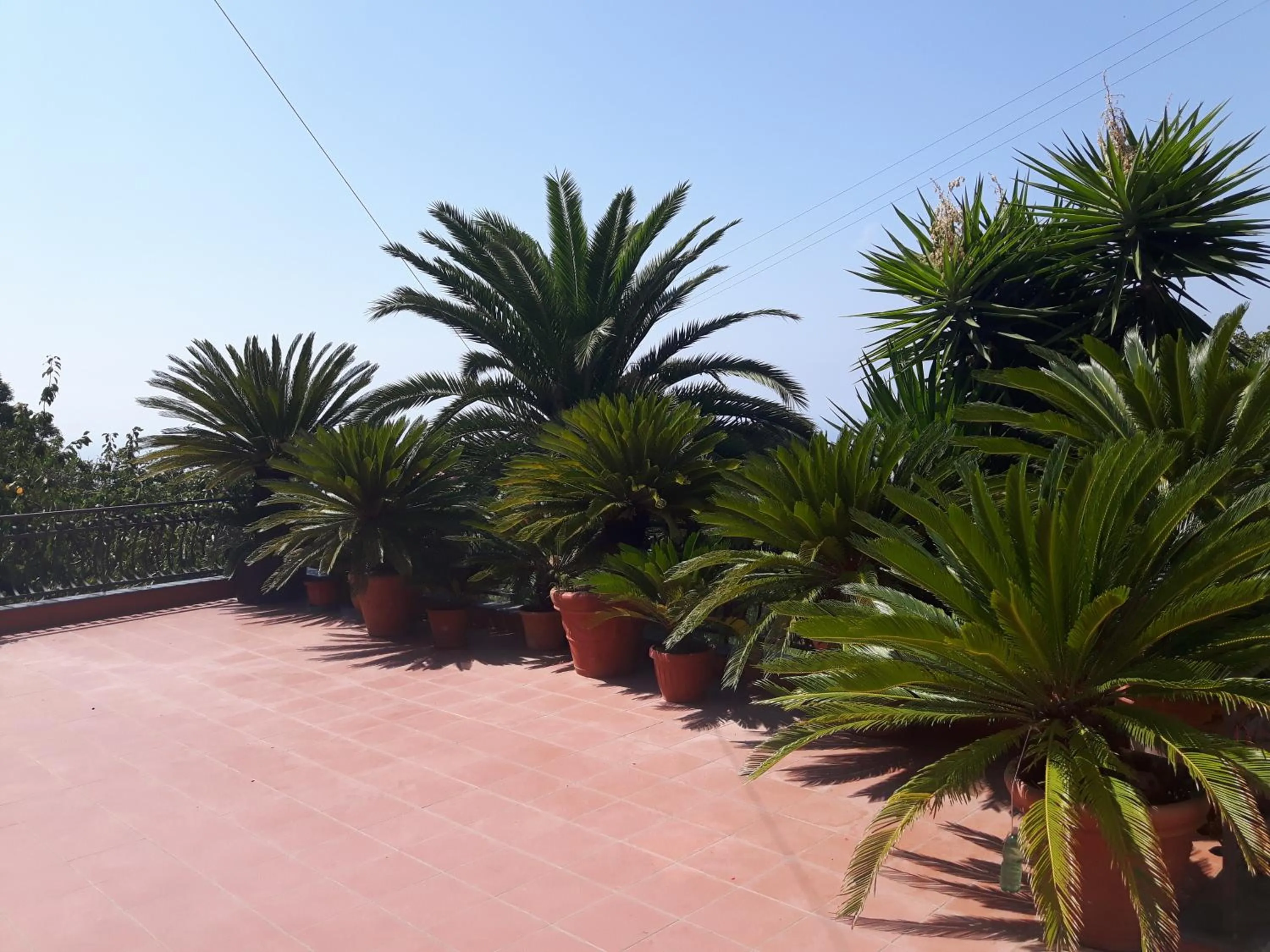 La Casa del Sole