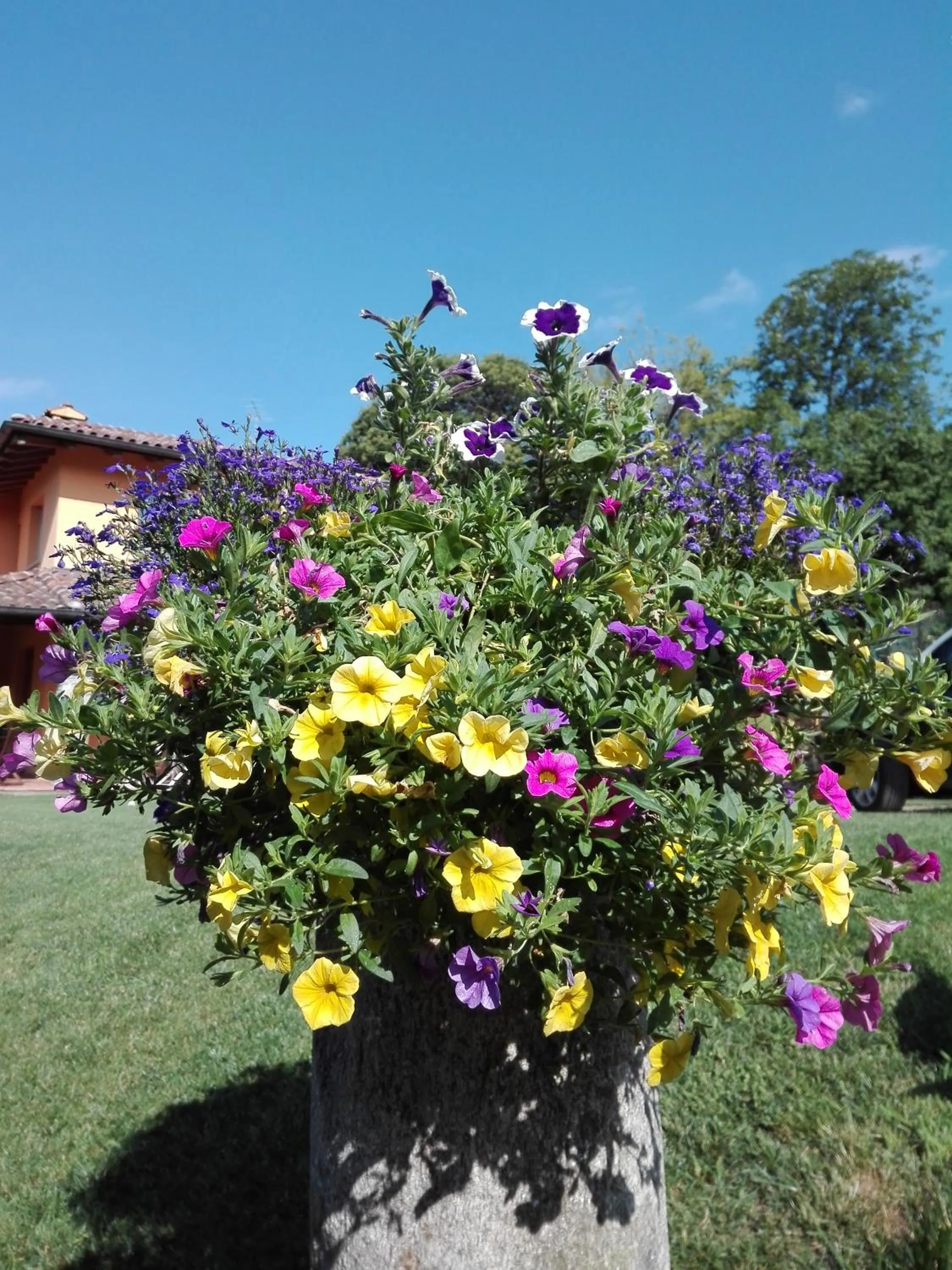 Garden in B&B Villa Claudia