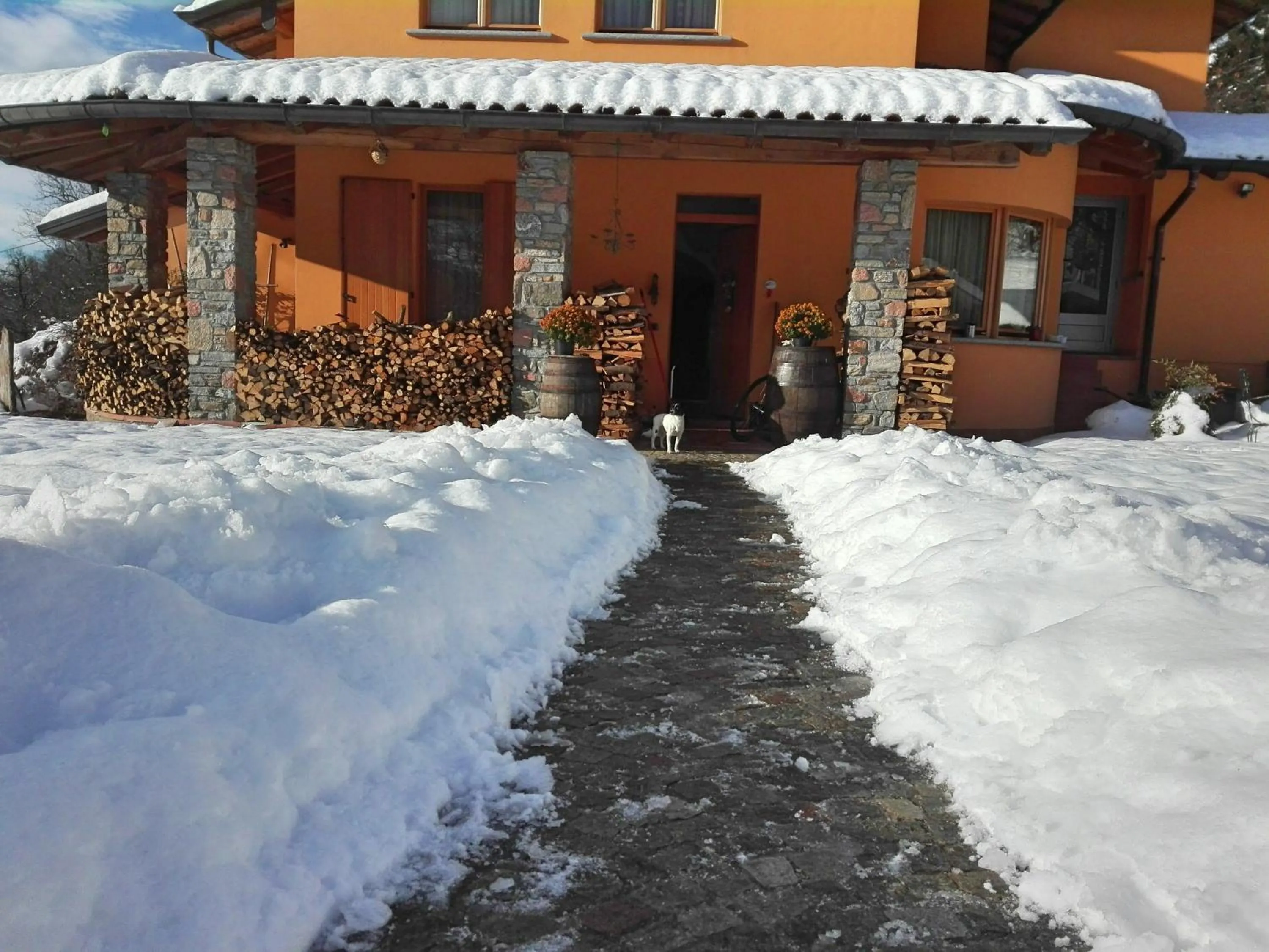 Garden view in B&B Villa Claudia