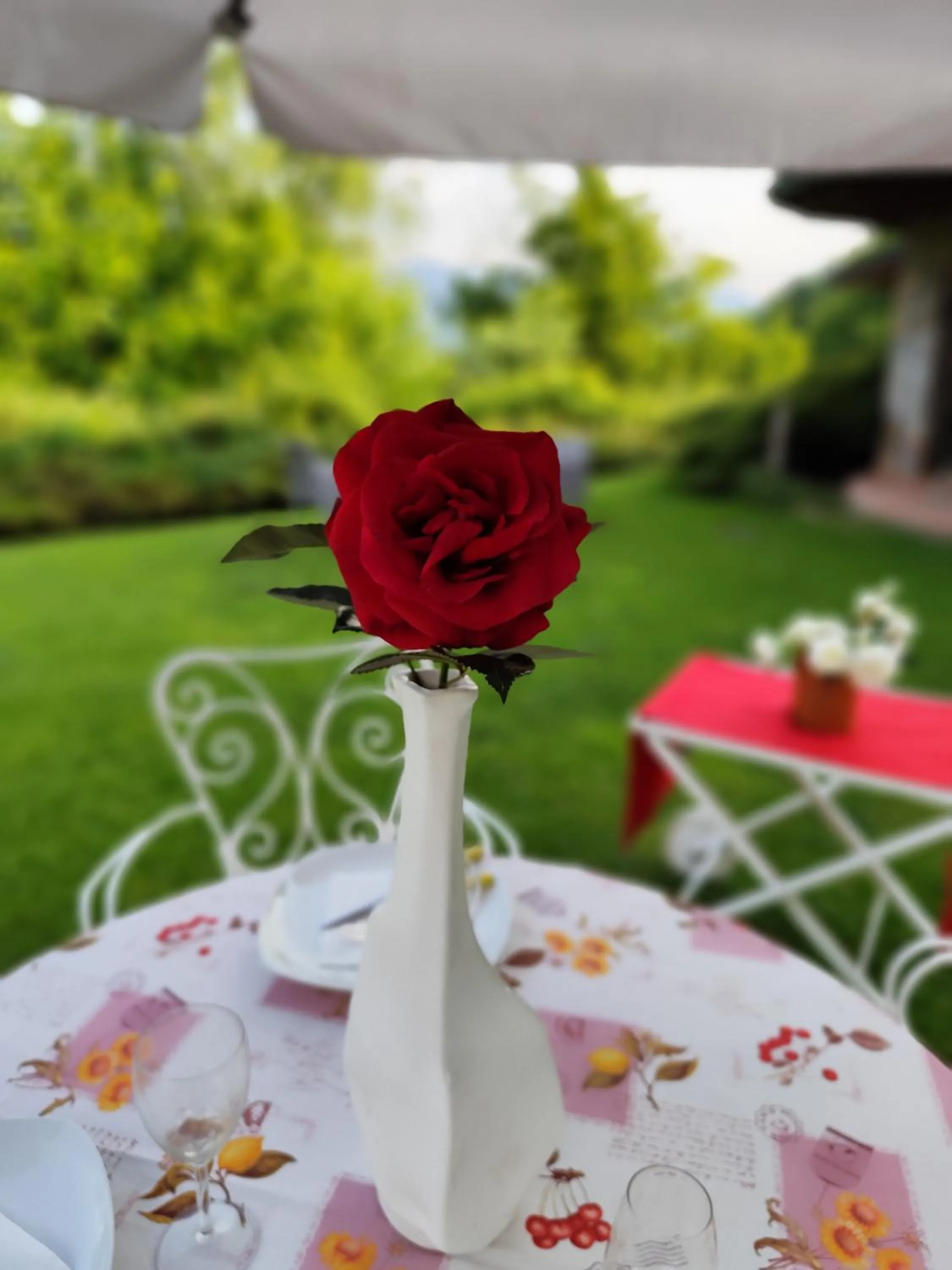 Garden in B&B Villa Claudia