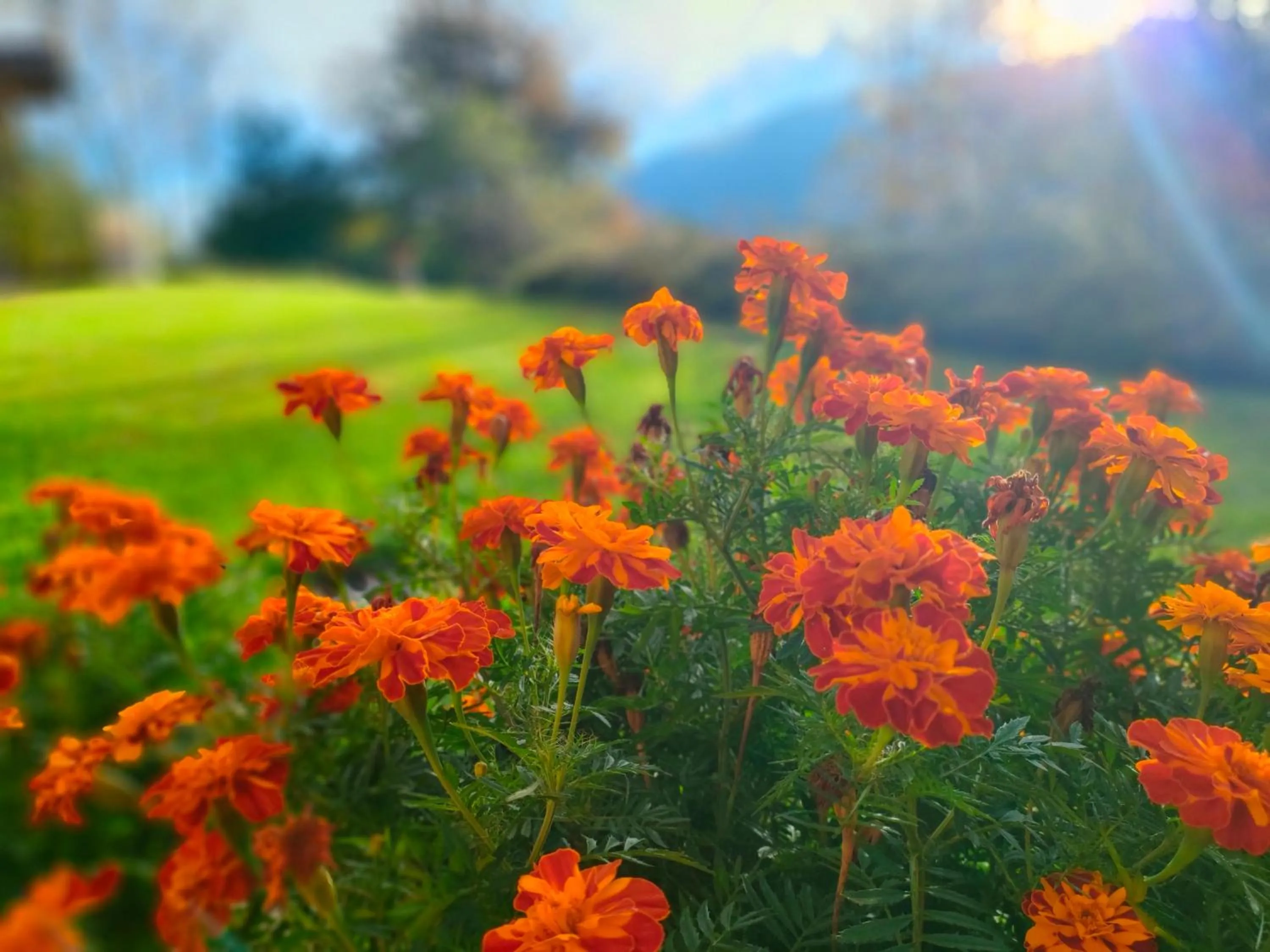 Natural landscape in B&B Villa Claudia
