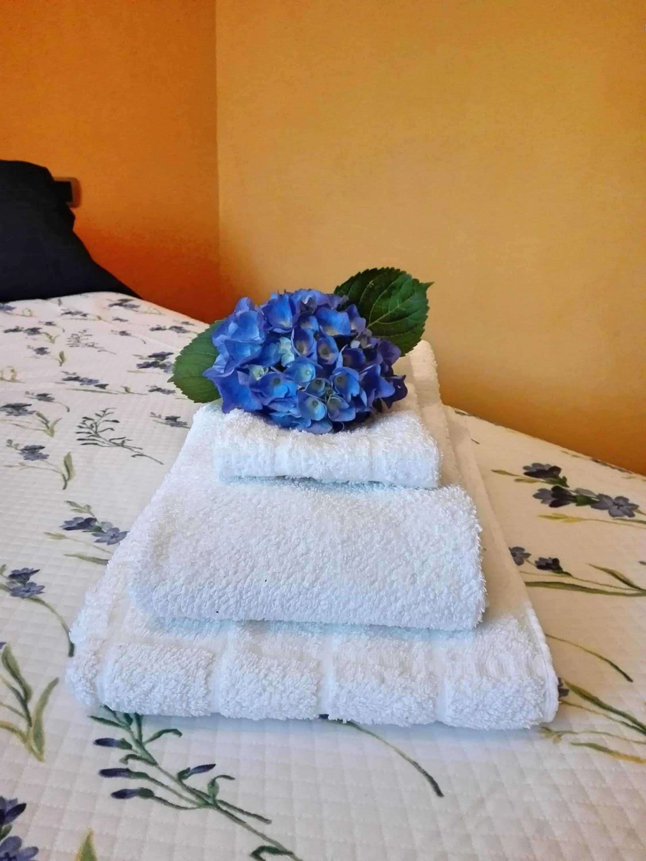 Bed in B&B Villa Claudia