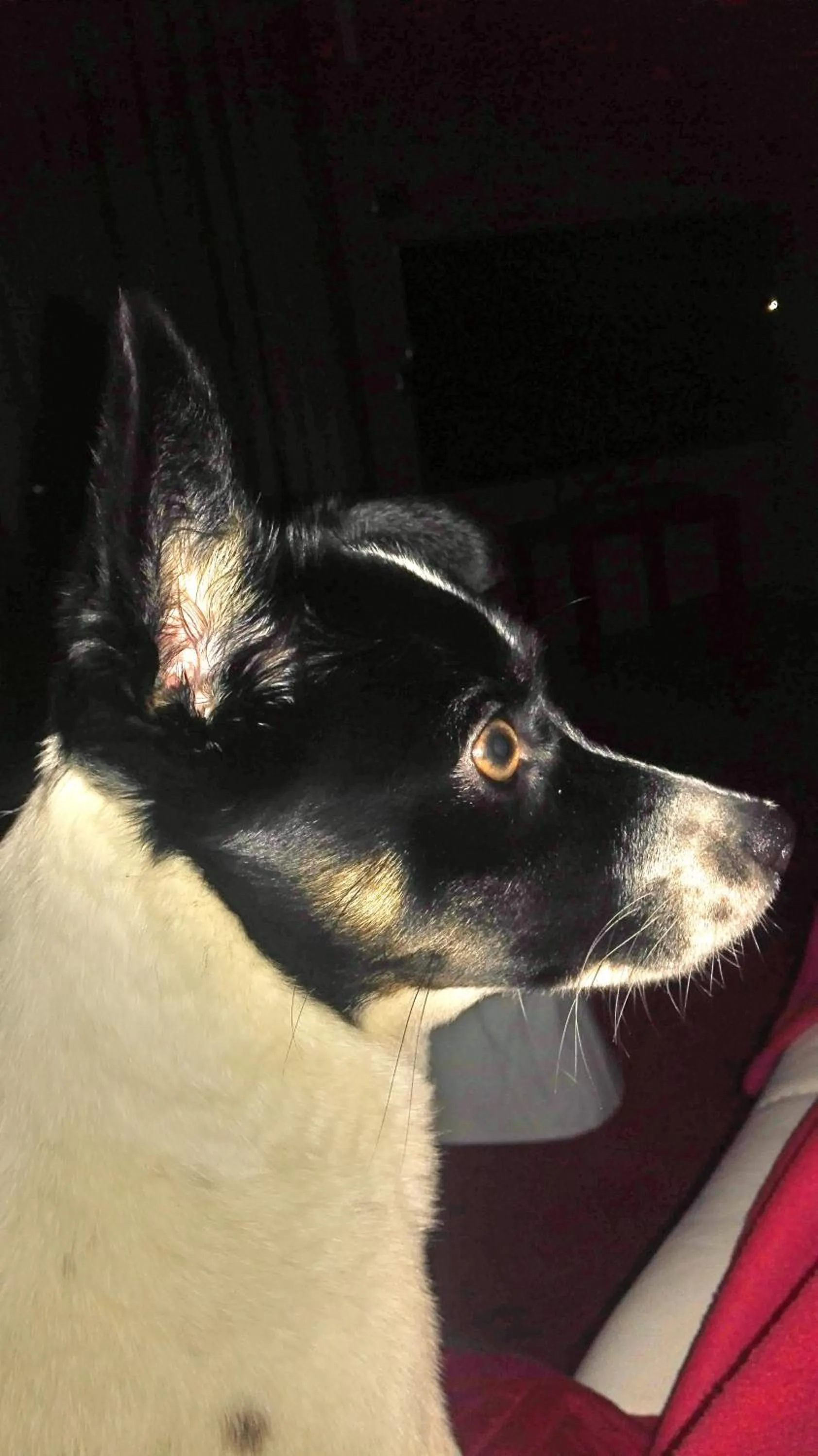 Staff in B&B Villa Claudia