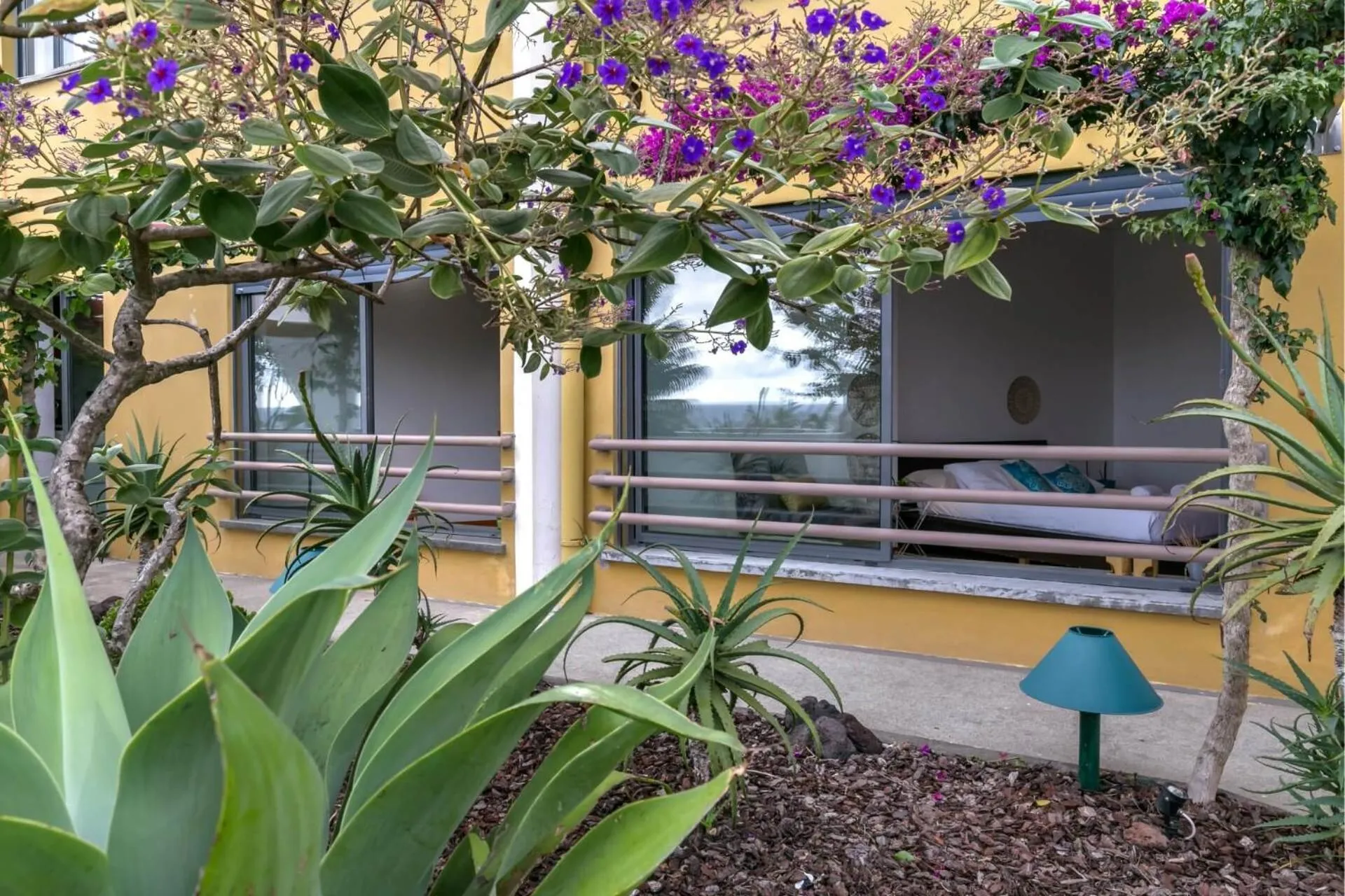 Garden in epicenter LAGOA