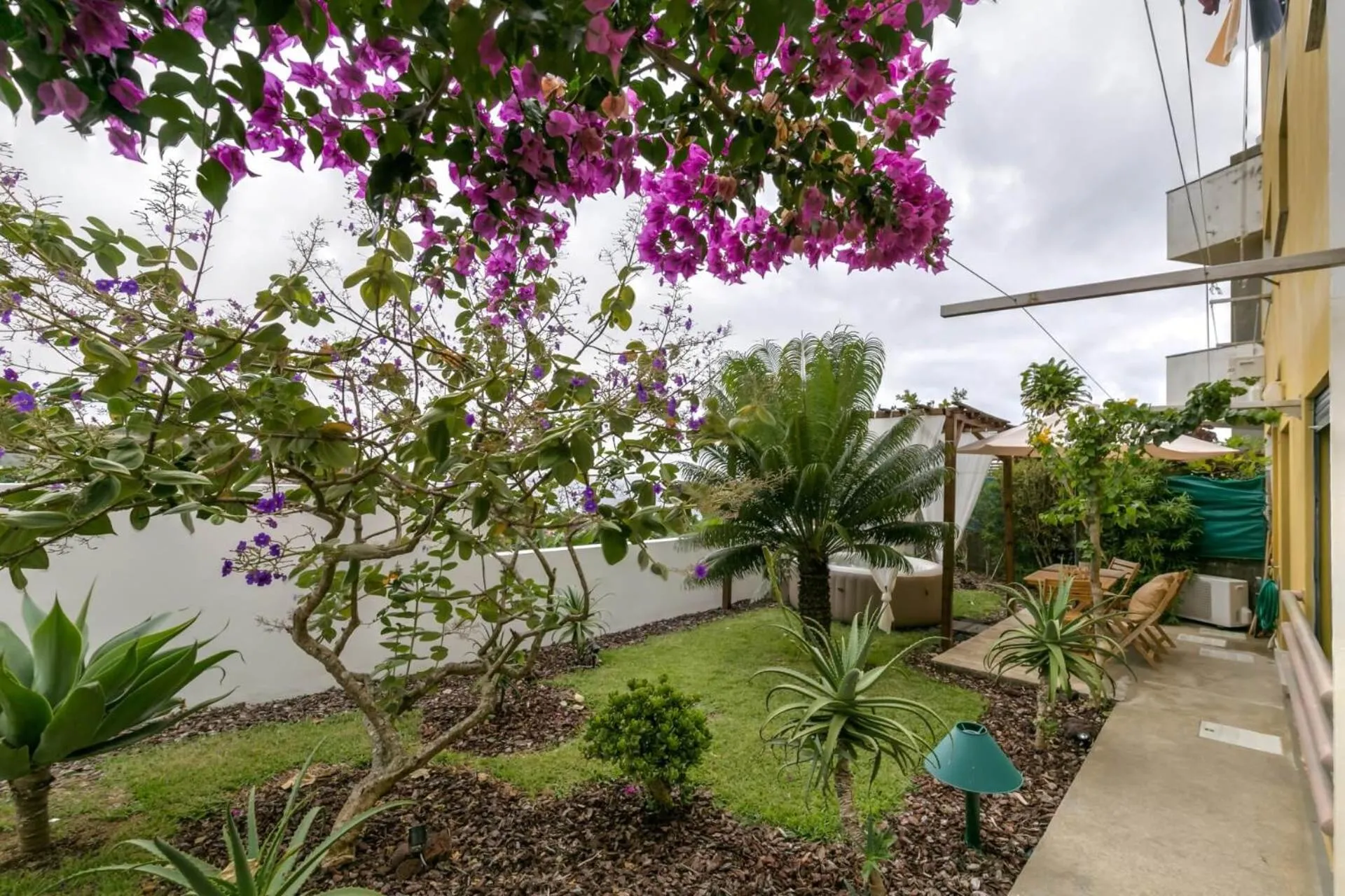 Garden in epicenter LAGOA