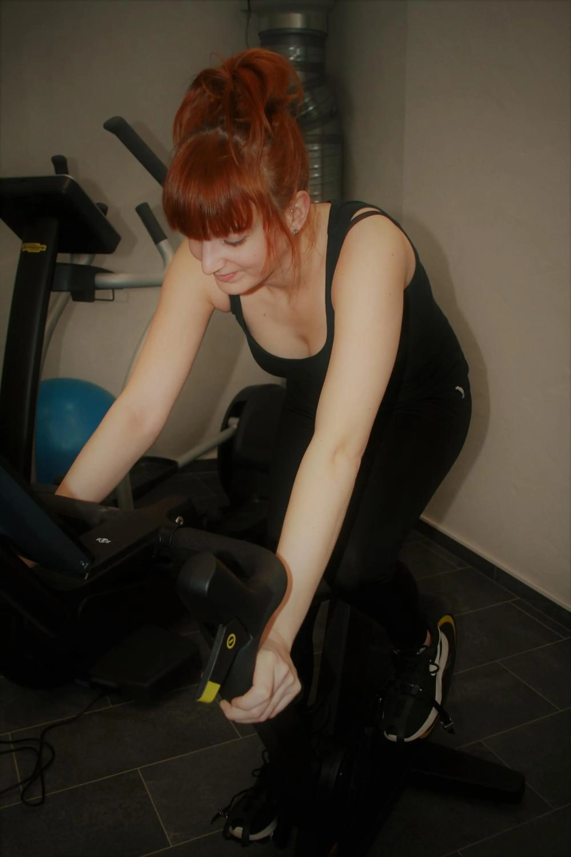 Fitness centre/facilities in Logis Gourmet & Relax Wellness Hotel De La Sure