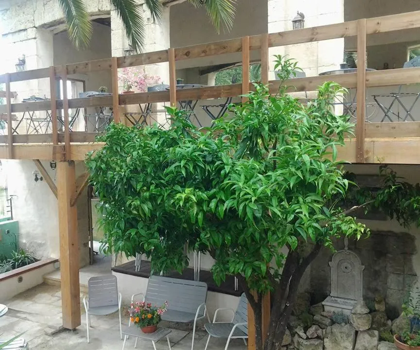 Garden in Maison De L'Orb