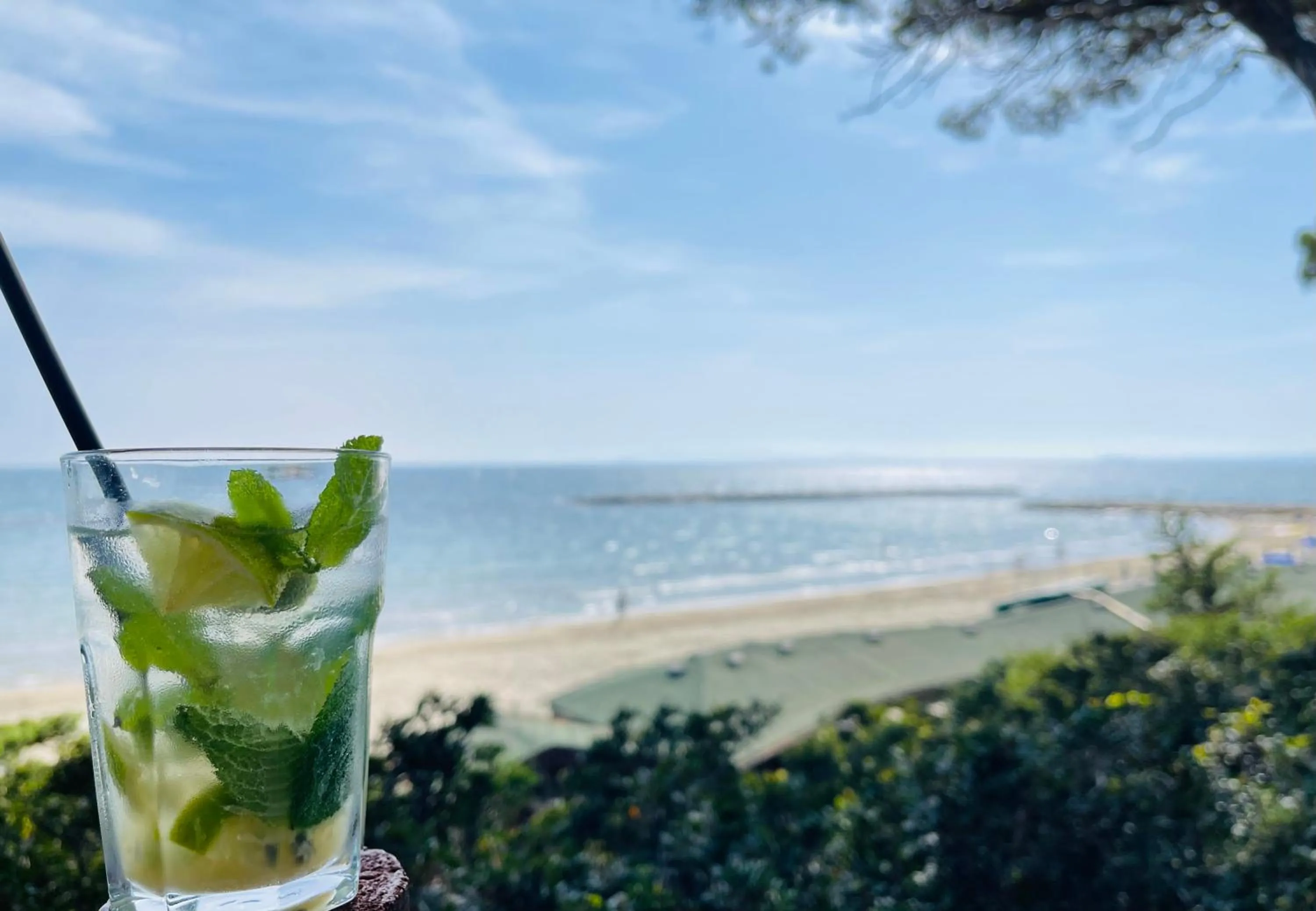 Food and drinks in Hotel Boschetto