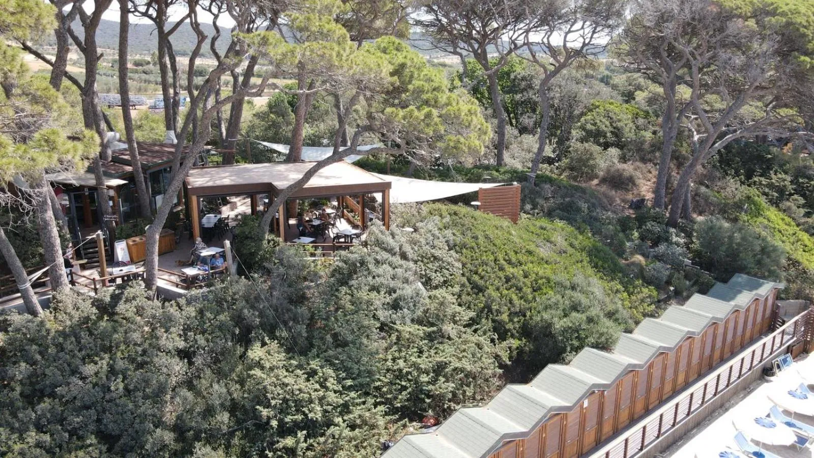 Garden view in Hotel Boschetto