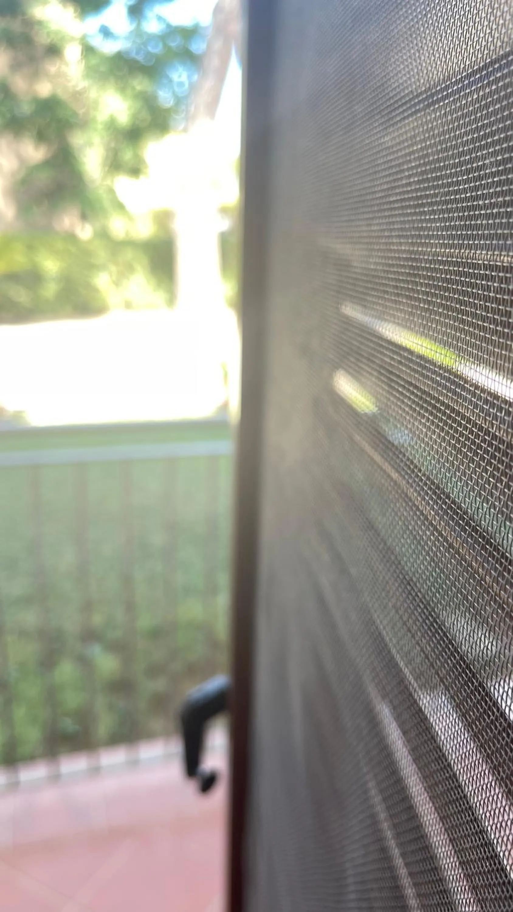 Balcony/Terrace in Hotel Boschetto