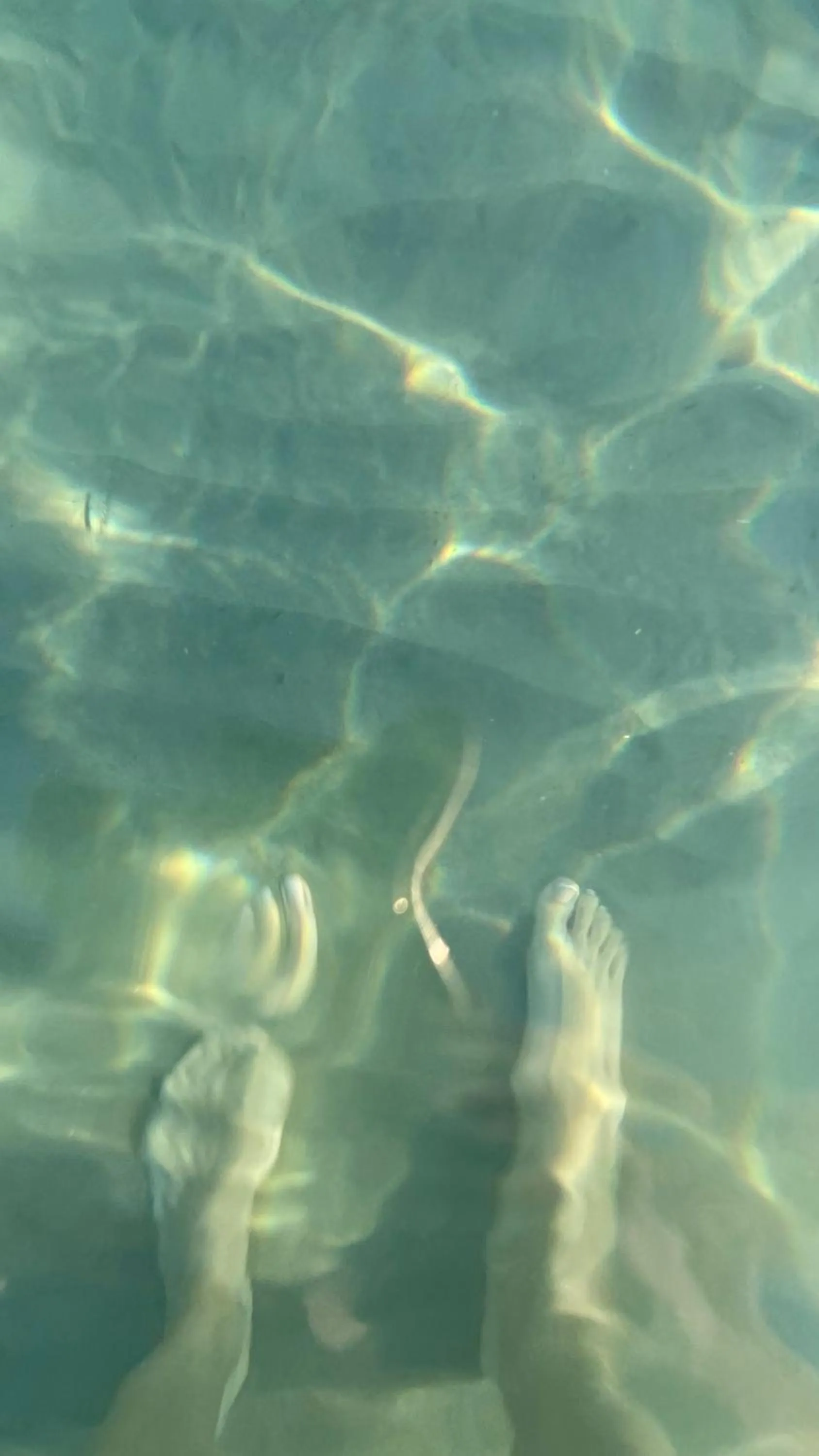 Sea view in Hotel Boschetto