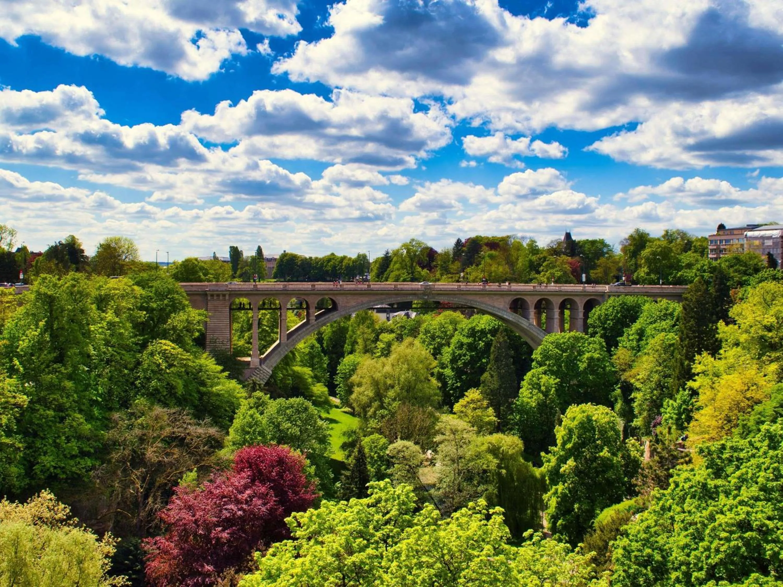 Restaurant/places to eat in Novotel Luxembourg Kirchberg