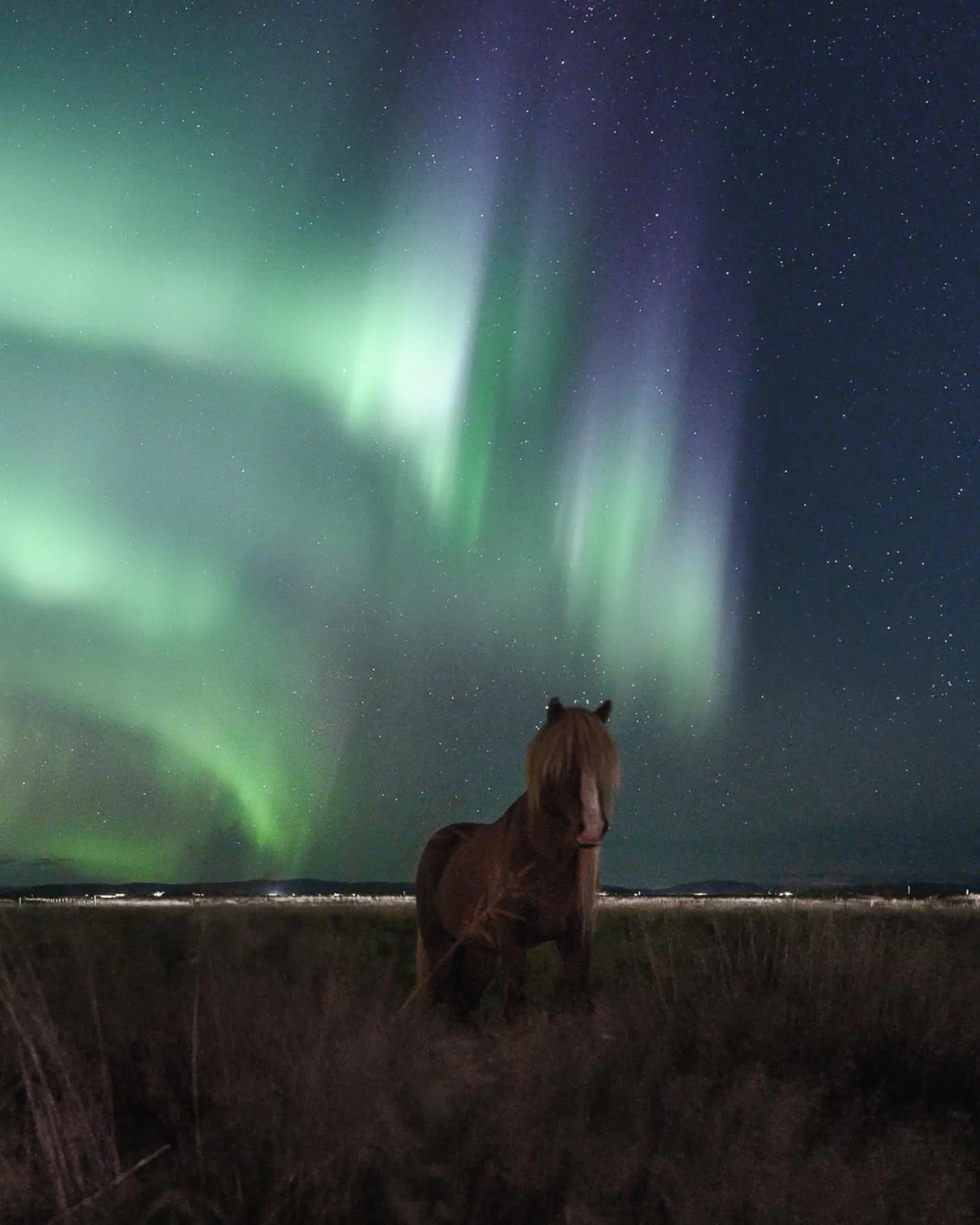 Area and facilities in Midgard Base Camp