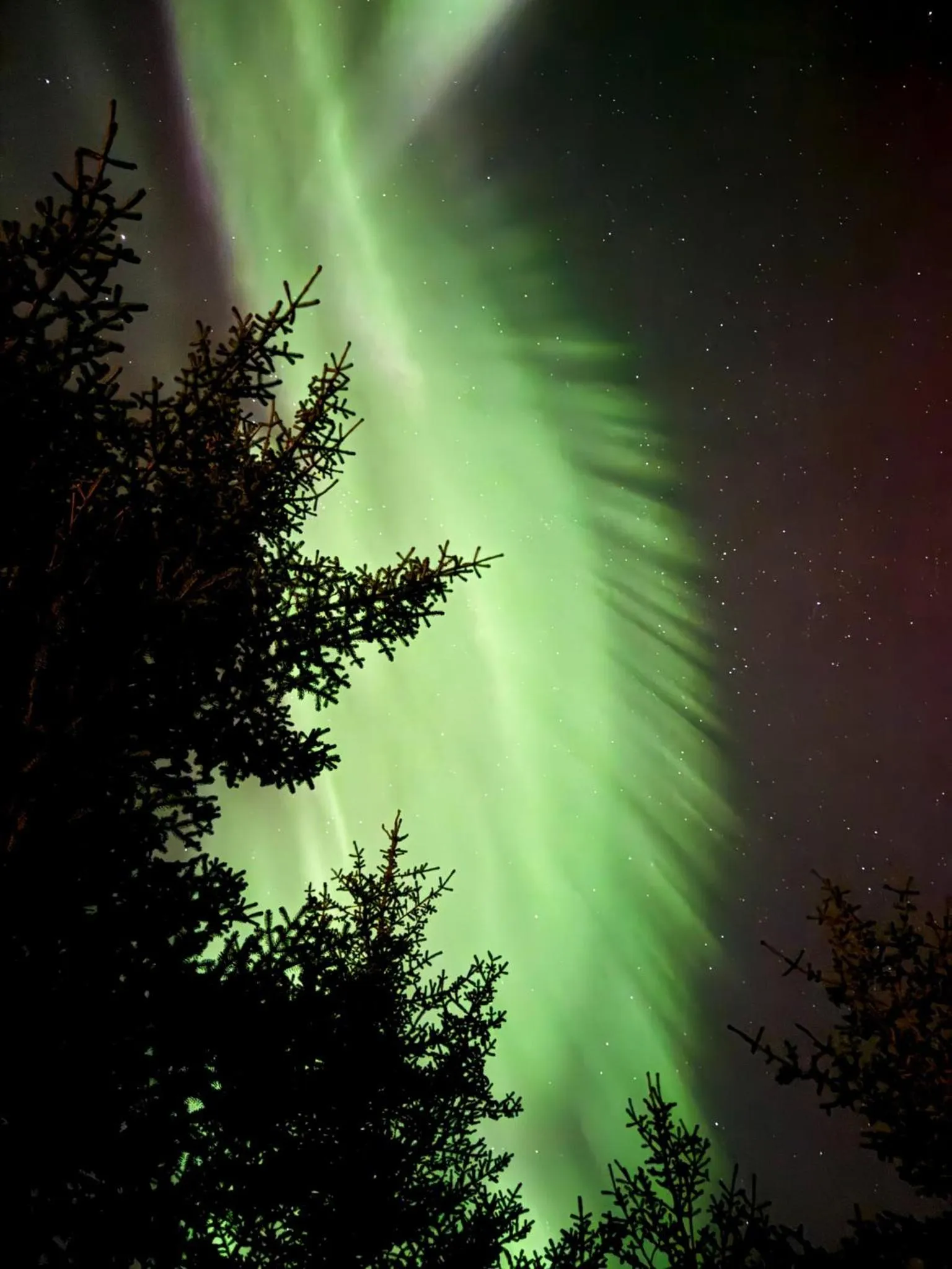 Area and facilities in Midgard Base Camp