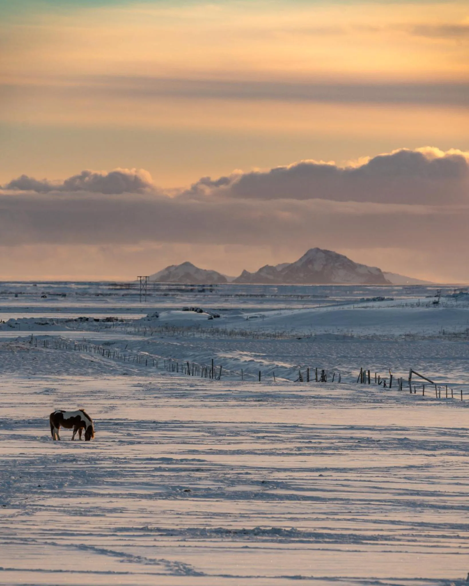 Property building in Midgard Base Camp