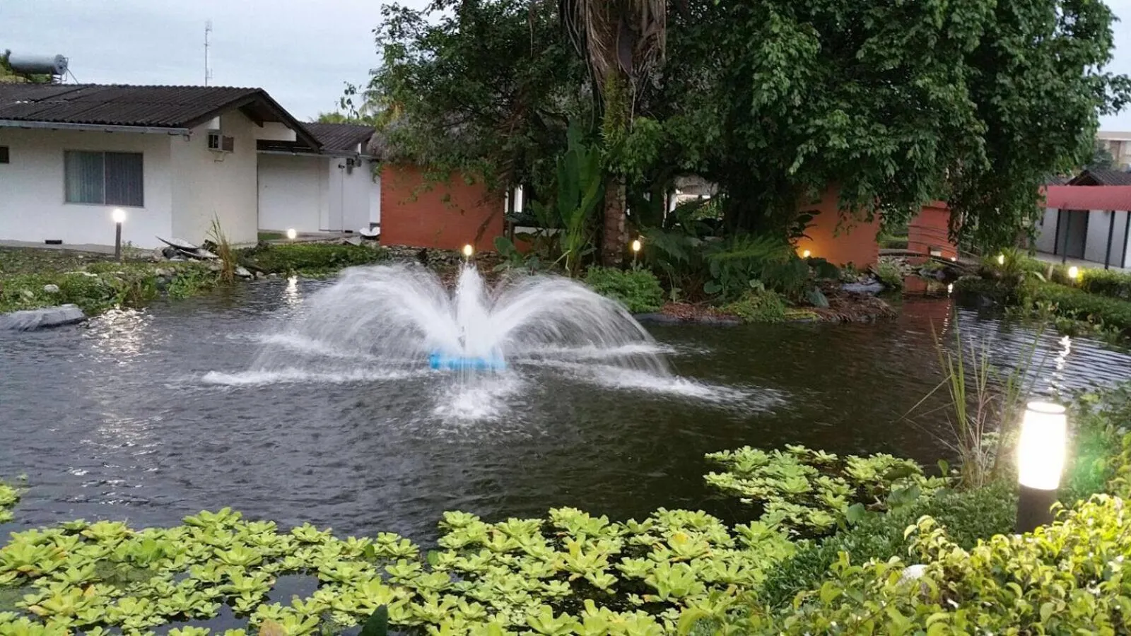 Garden view in Gran Hotel De Lago - Lago Agrio