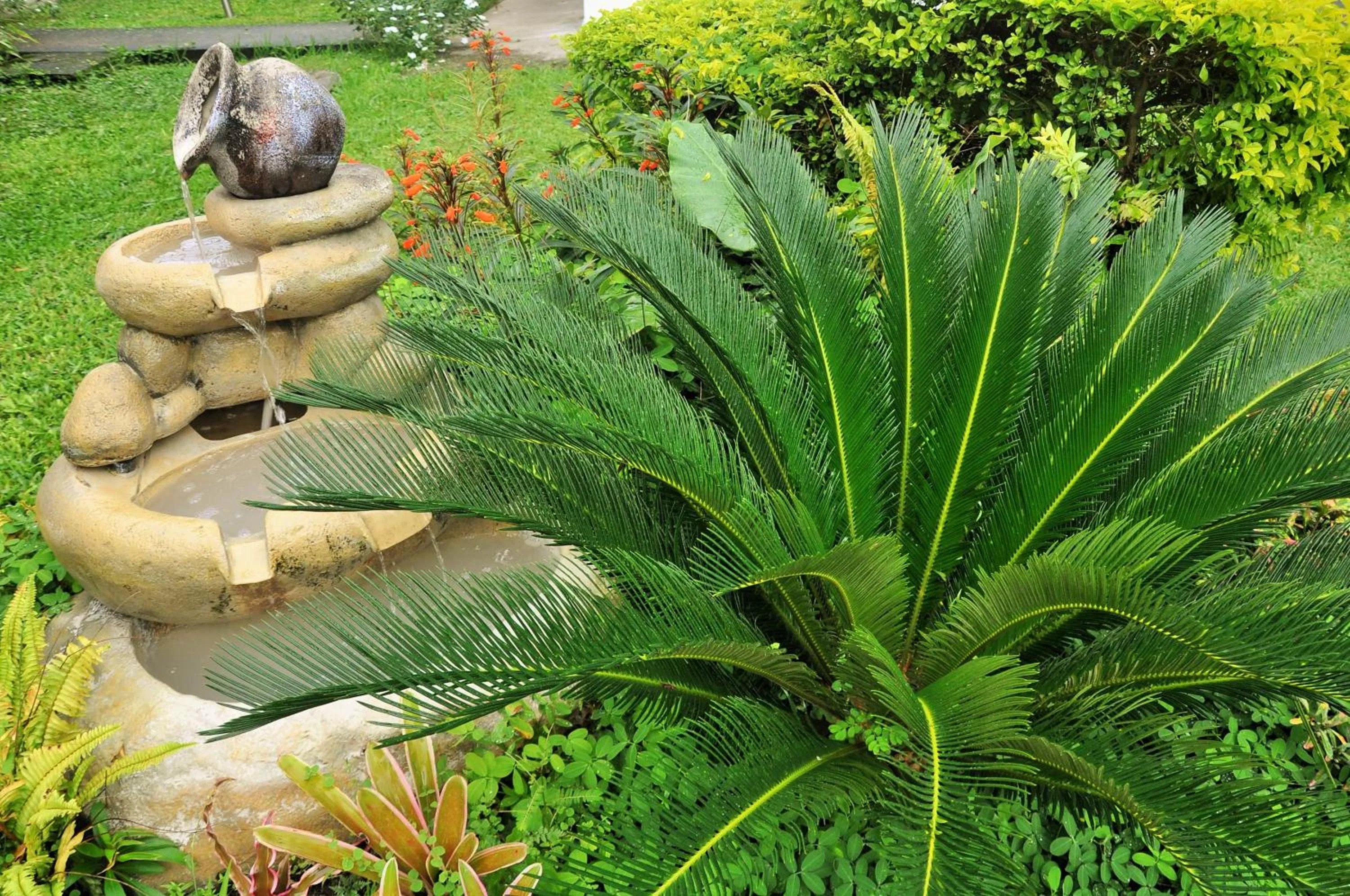 Garden in Gran Hotel De Lago - Lago Agrio