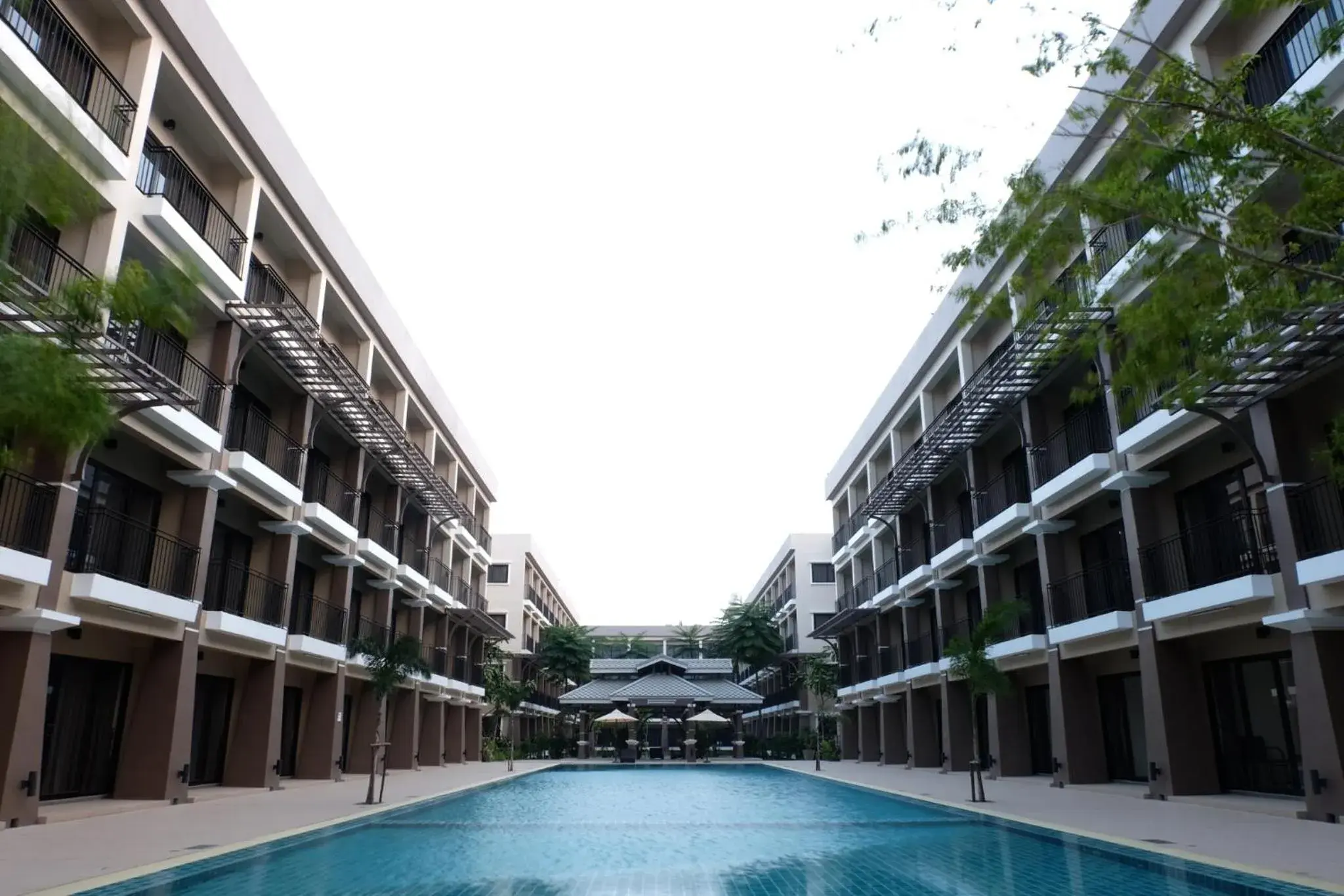 Swimming Pool in Summer Tree Hotel