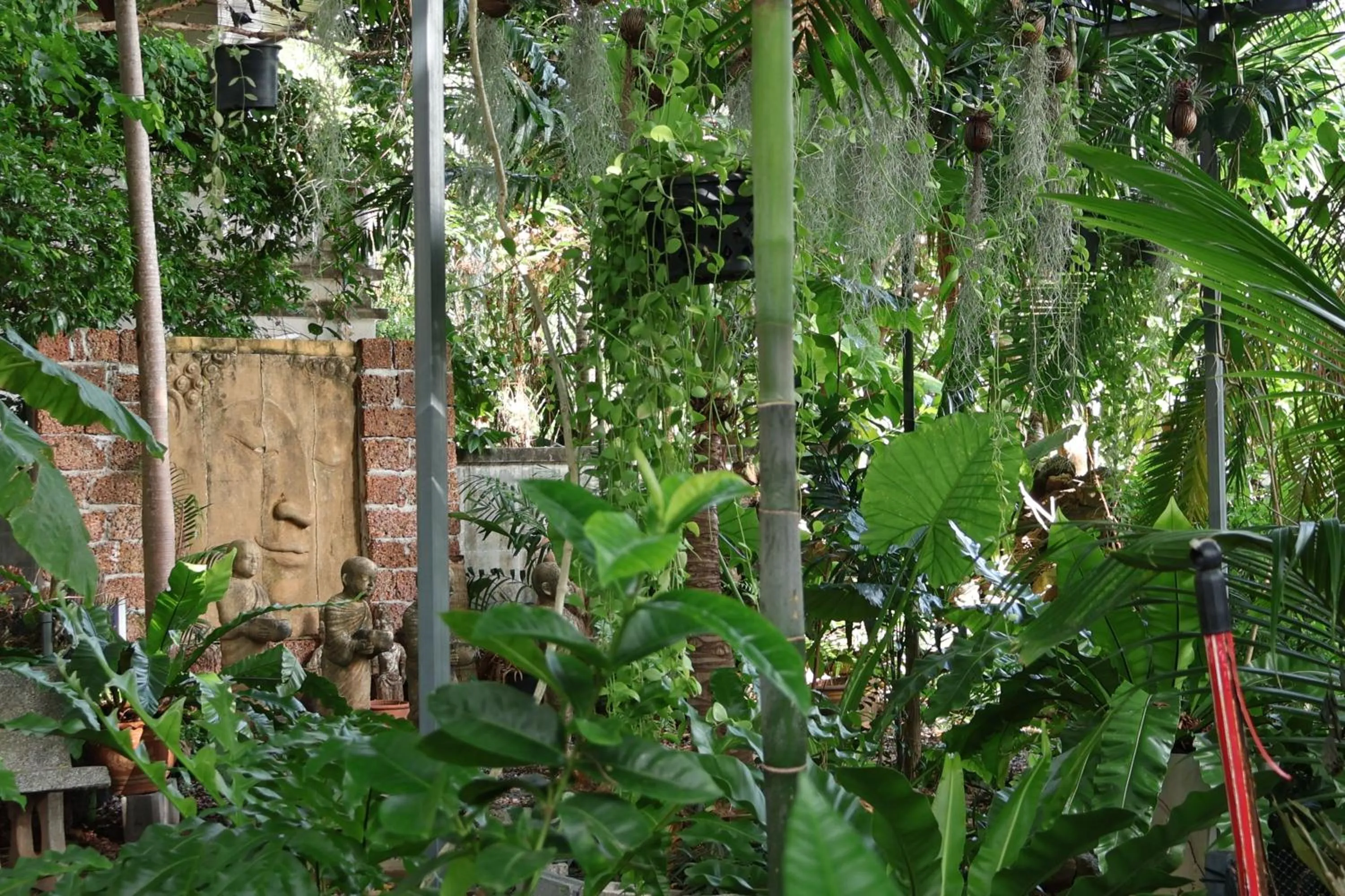 Garden in Eat n Sleep