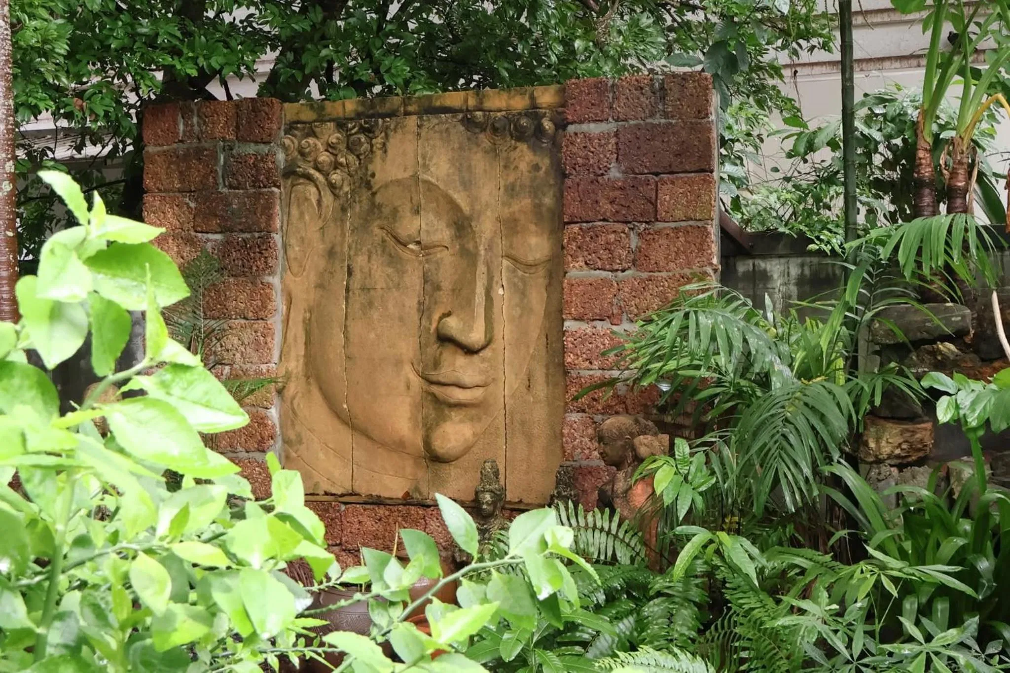 Garden view in Eat n Sleep