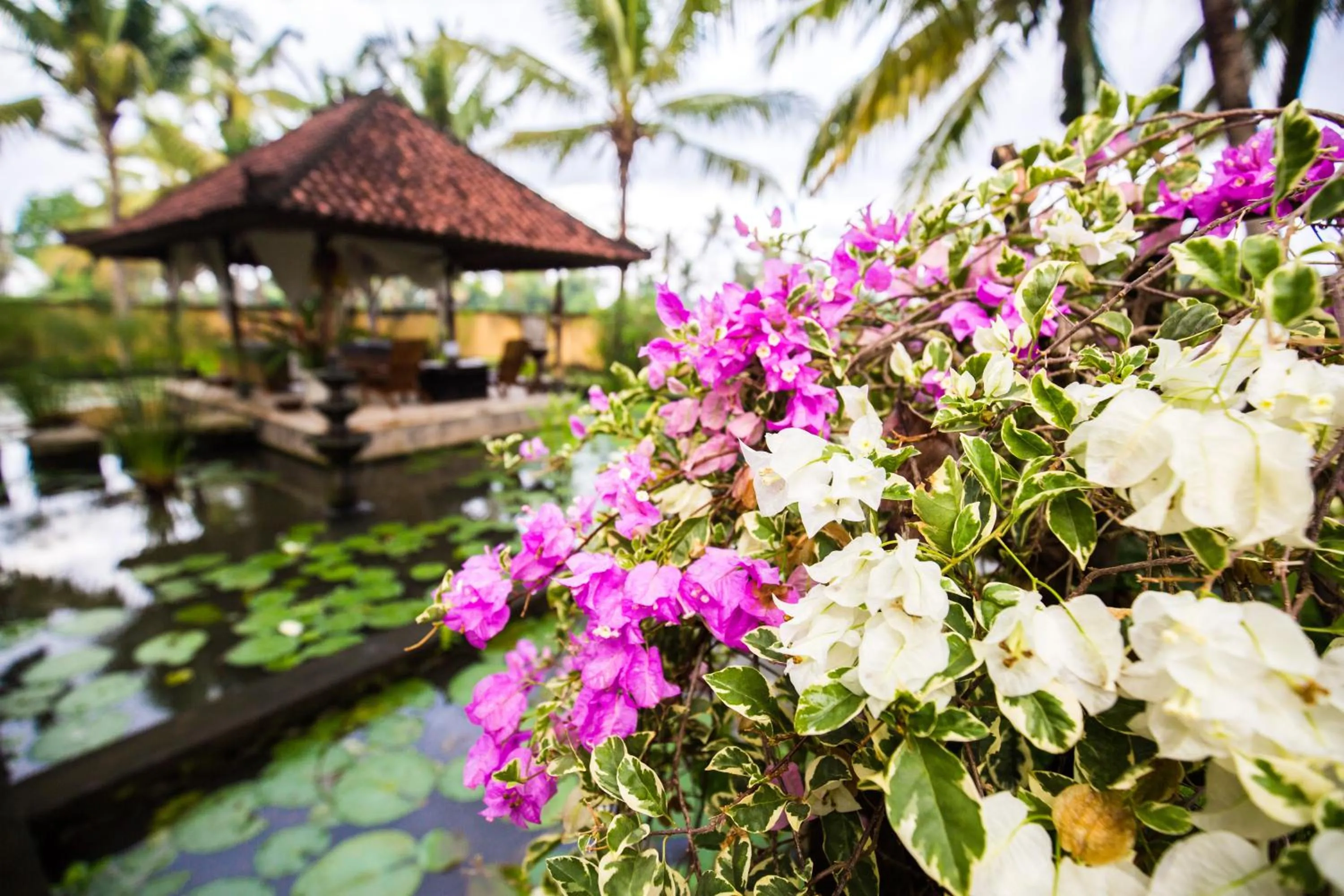 Massage in Vision Villa Resort