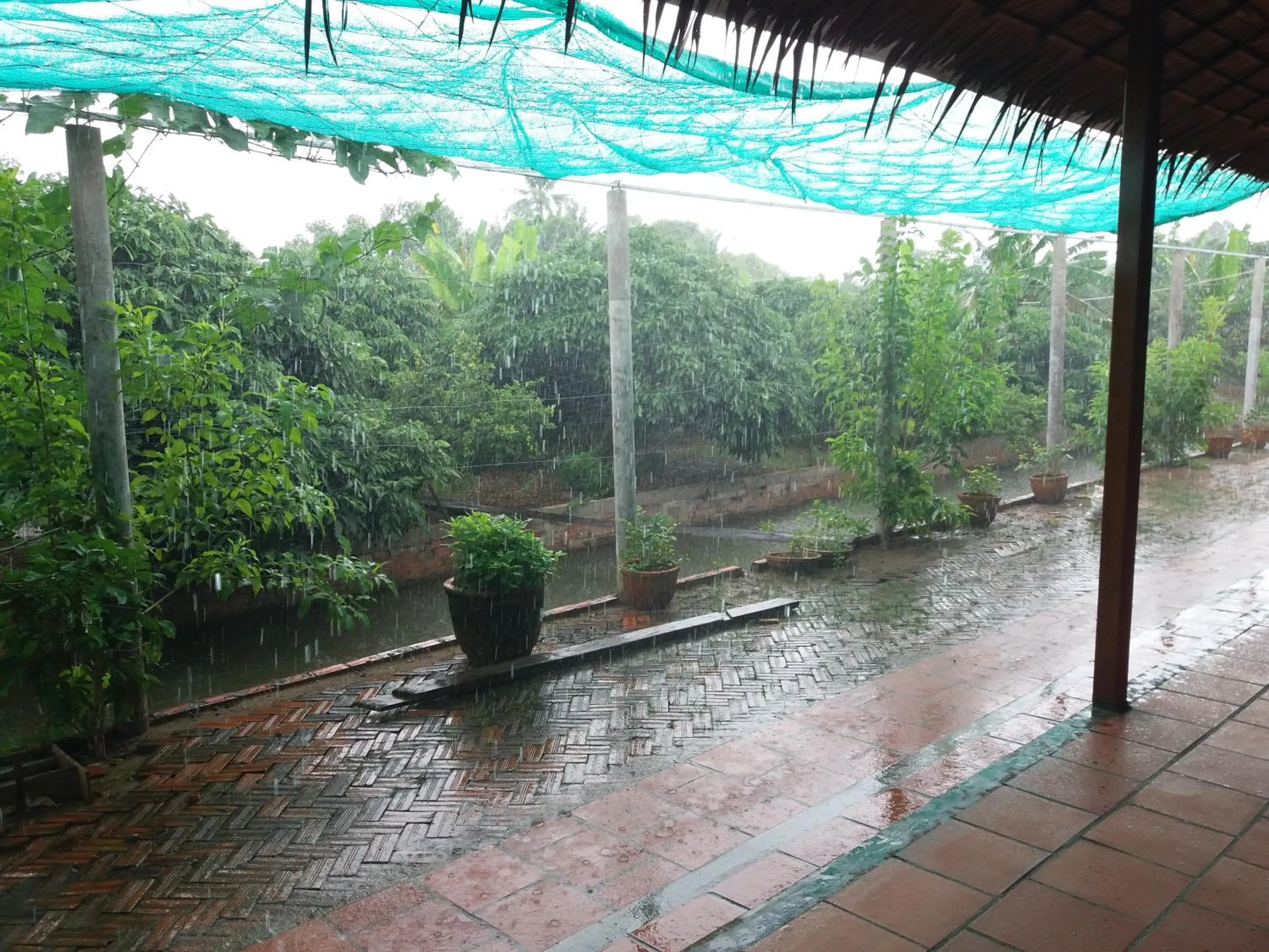 Garden view in Ba Linh Homestay