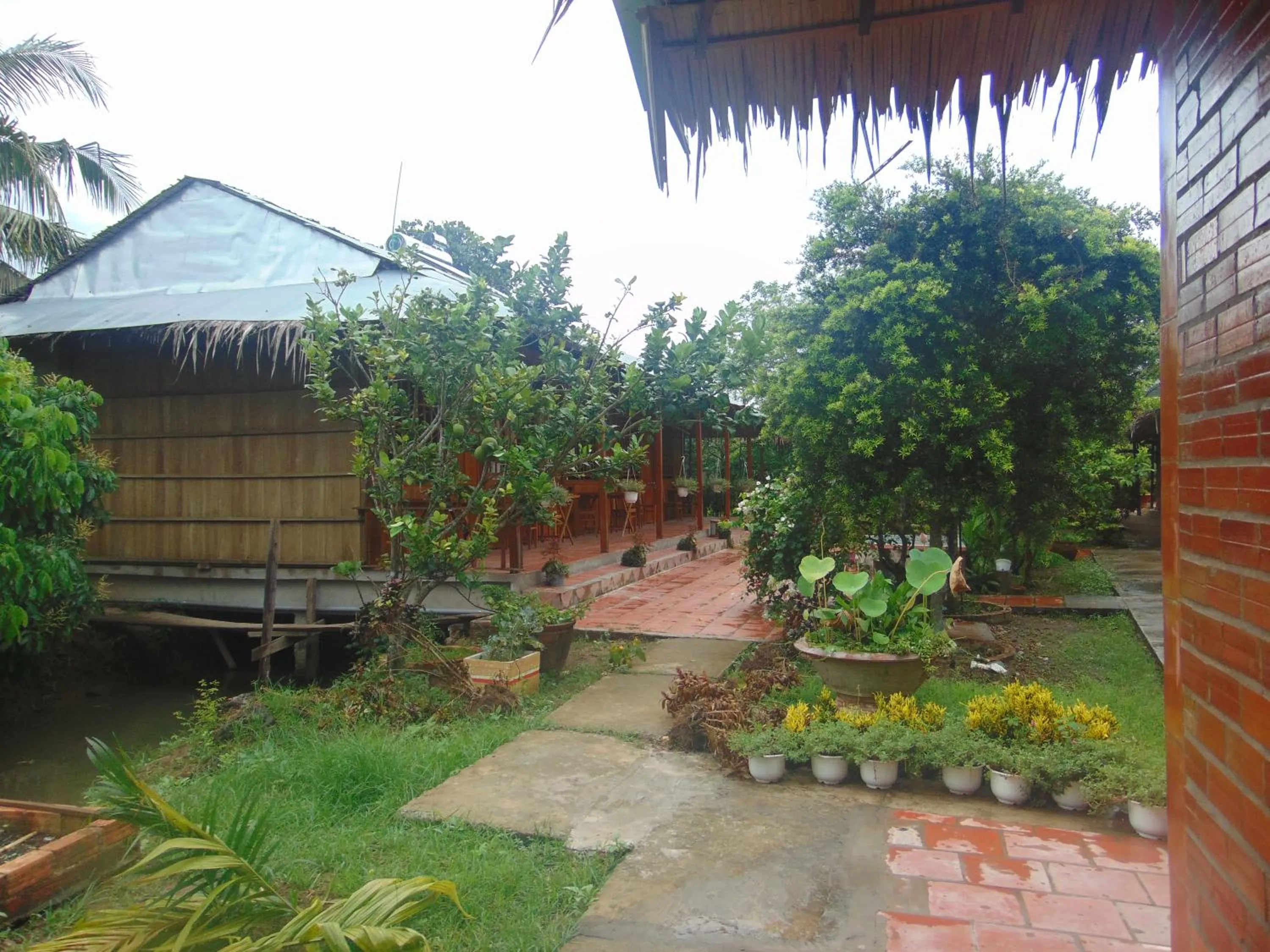 Natural landscape in Ba Linh Homestay