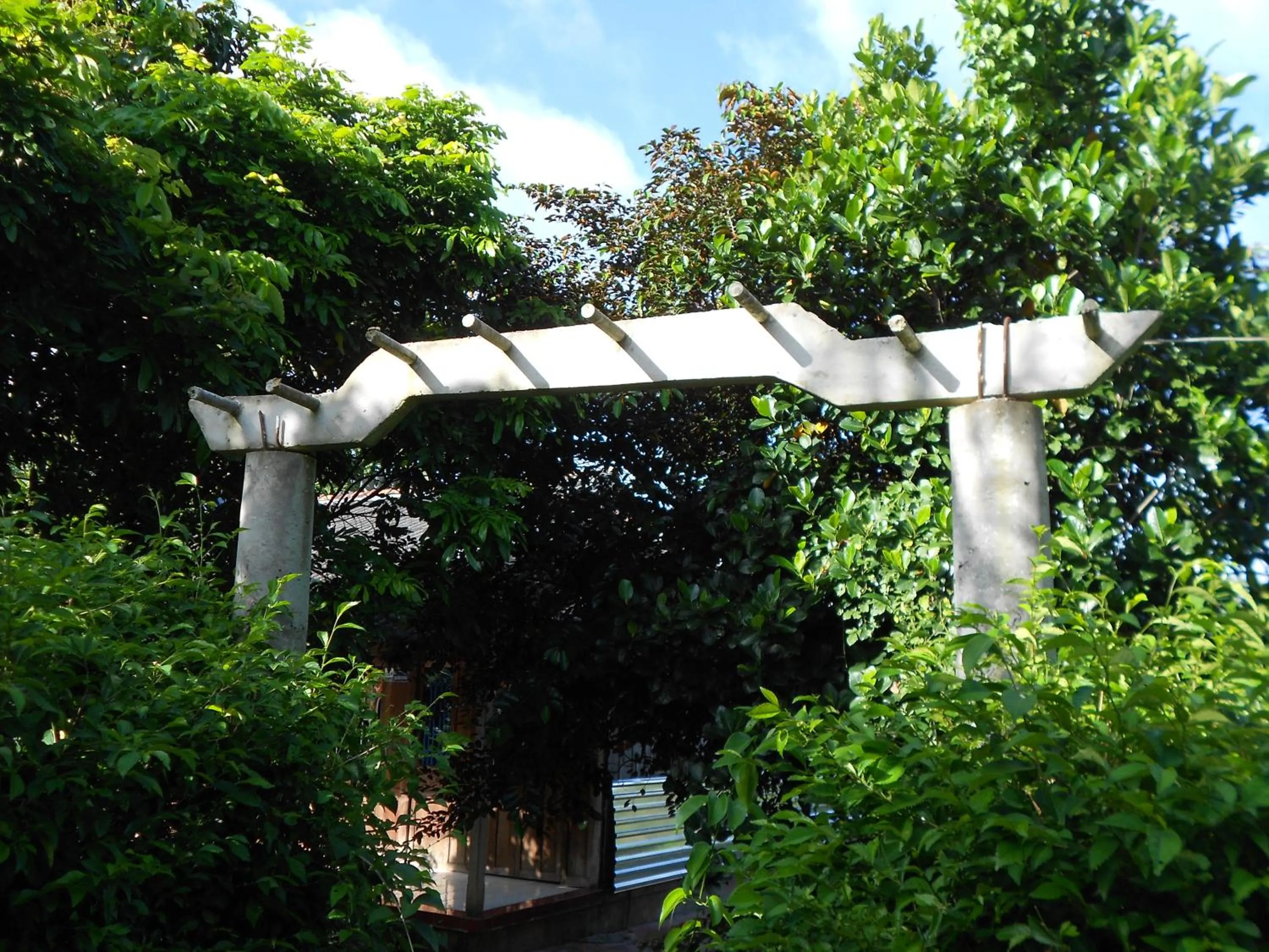 Garden in Ba Linh Homestay