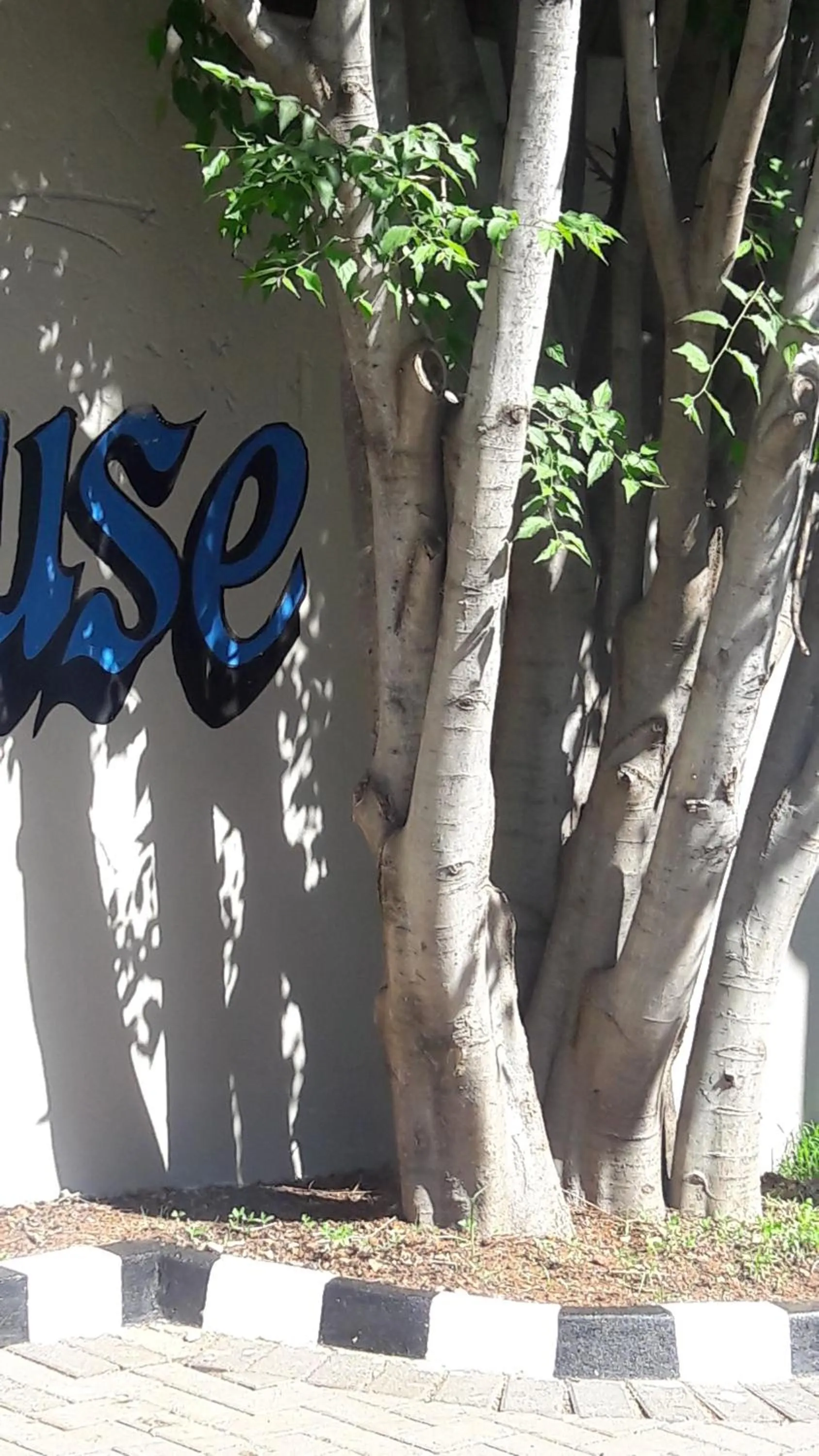 Property building in Valley Guest House