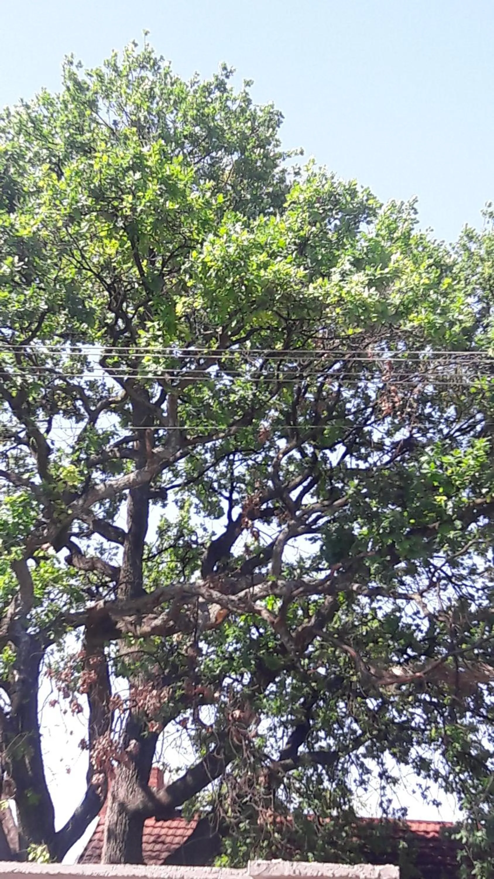 Property building in Valley Guest House