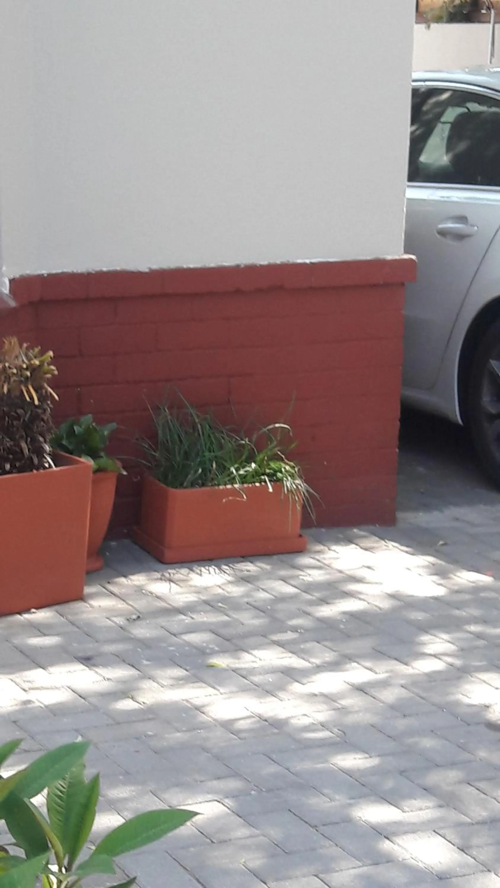 Property building in Valley Guest House