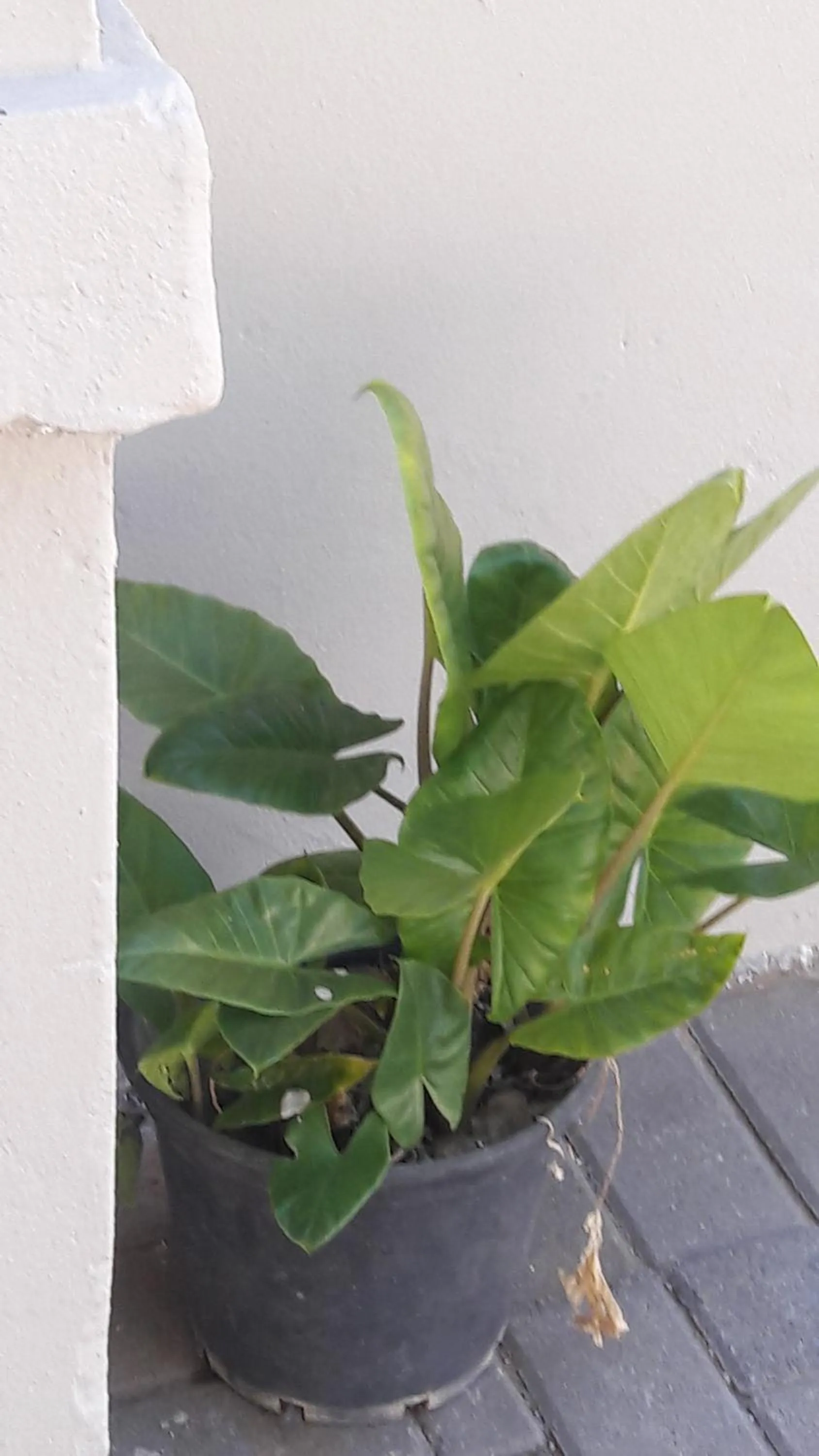 Property building in Valley Guest House